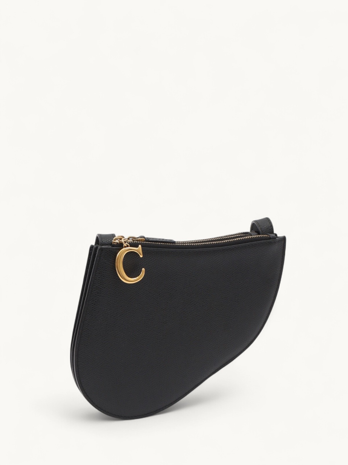 Dior Saddle 2