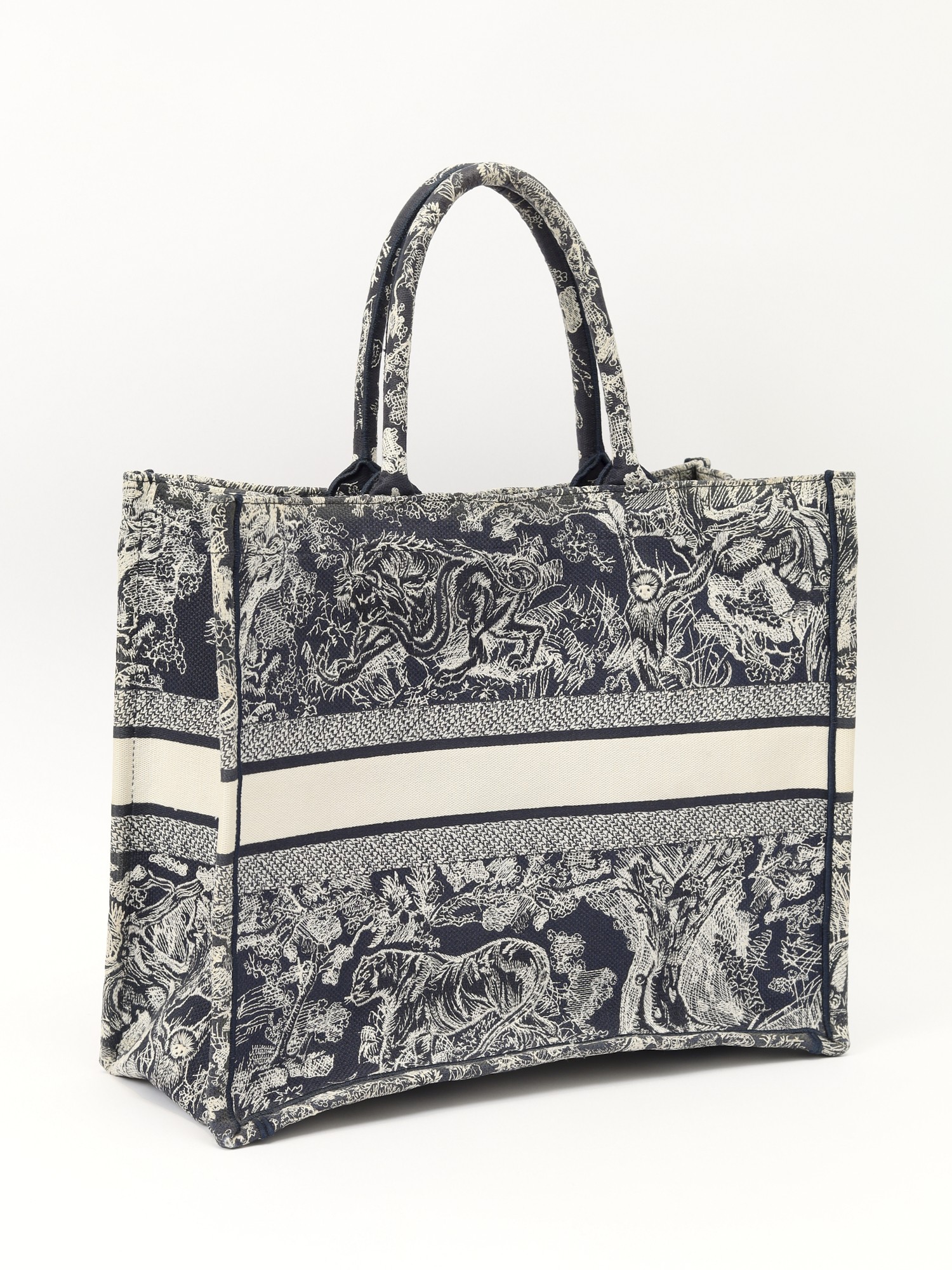 Dior Book Tote  3