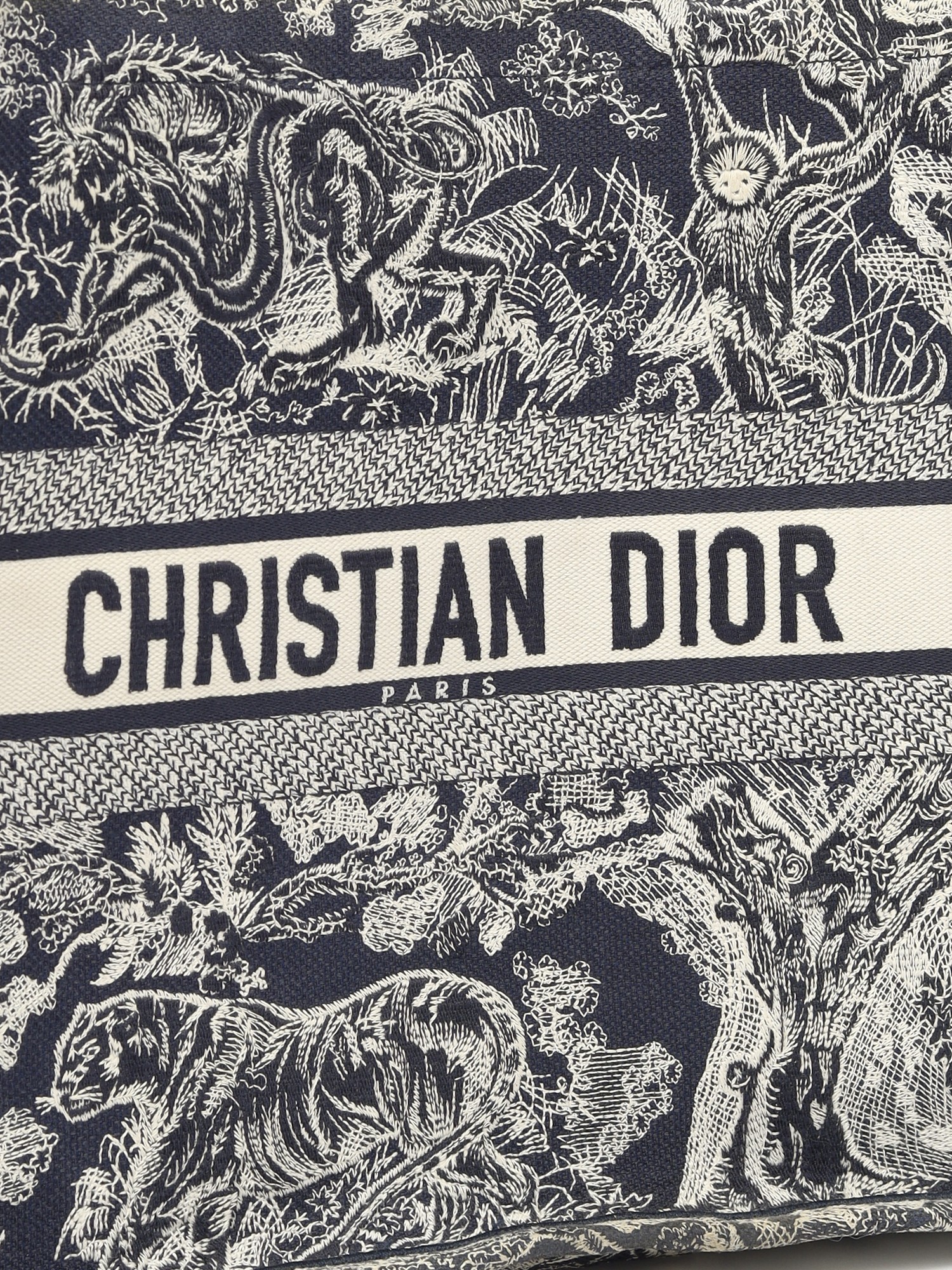 Dior Book Tote  4