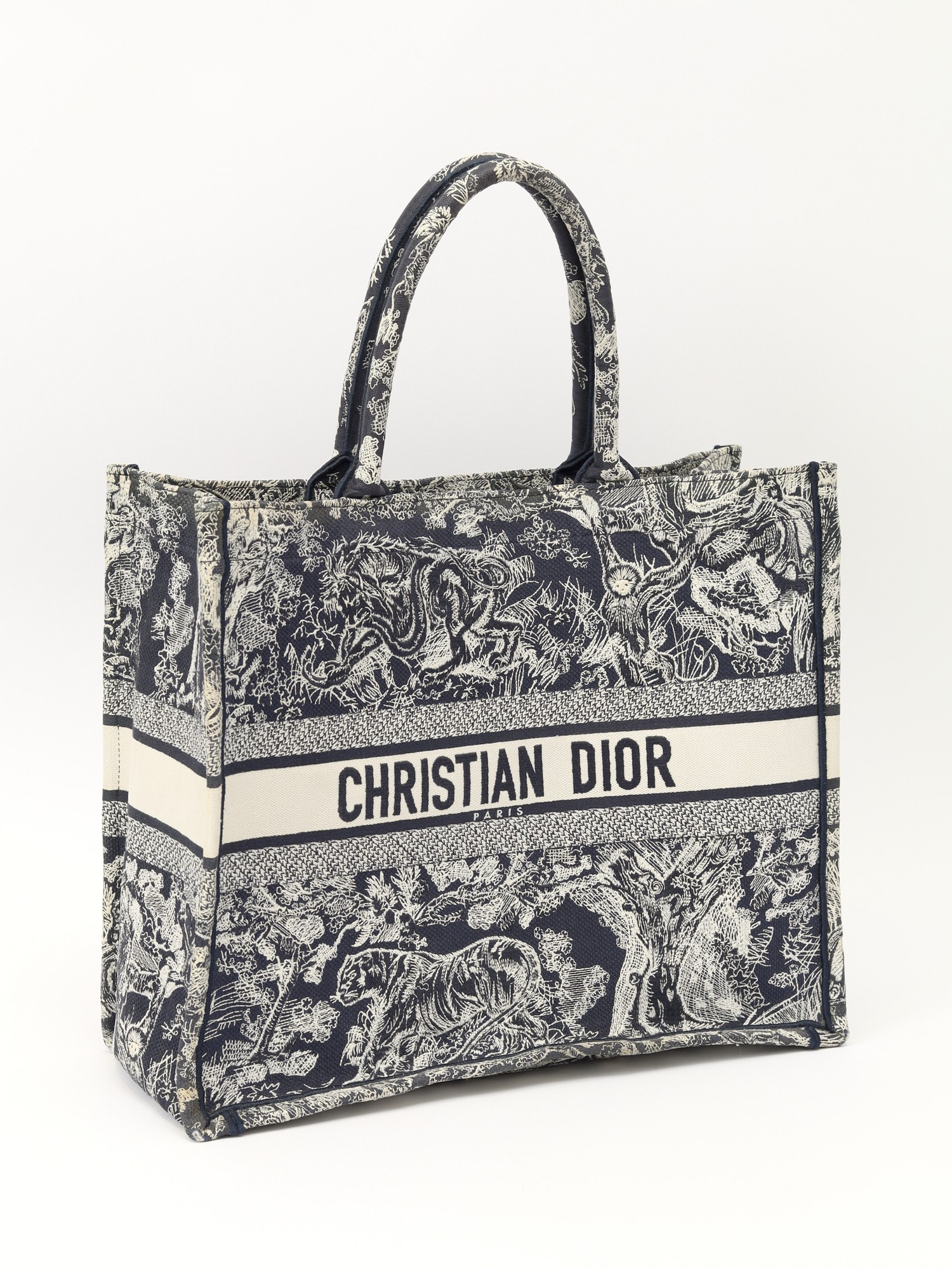 Dior Book Tote  2