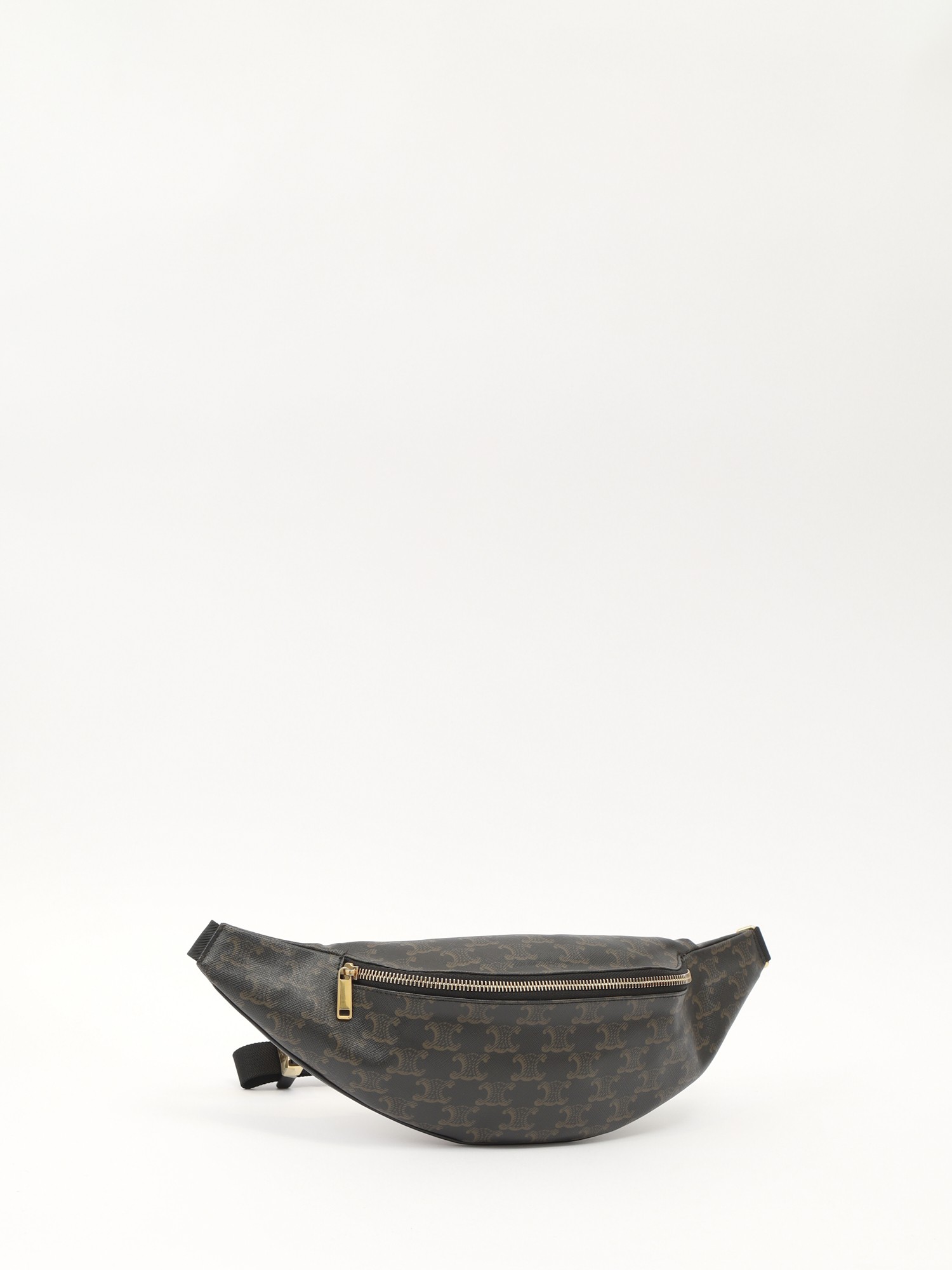 Celine Canvas Bag 2