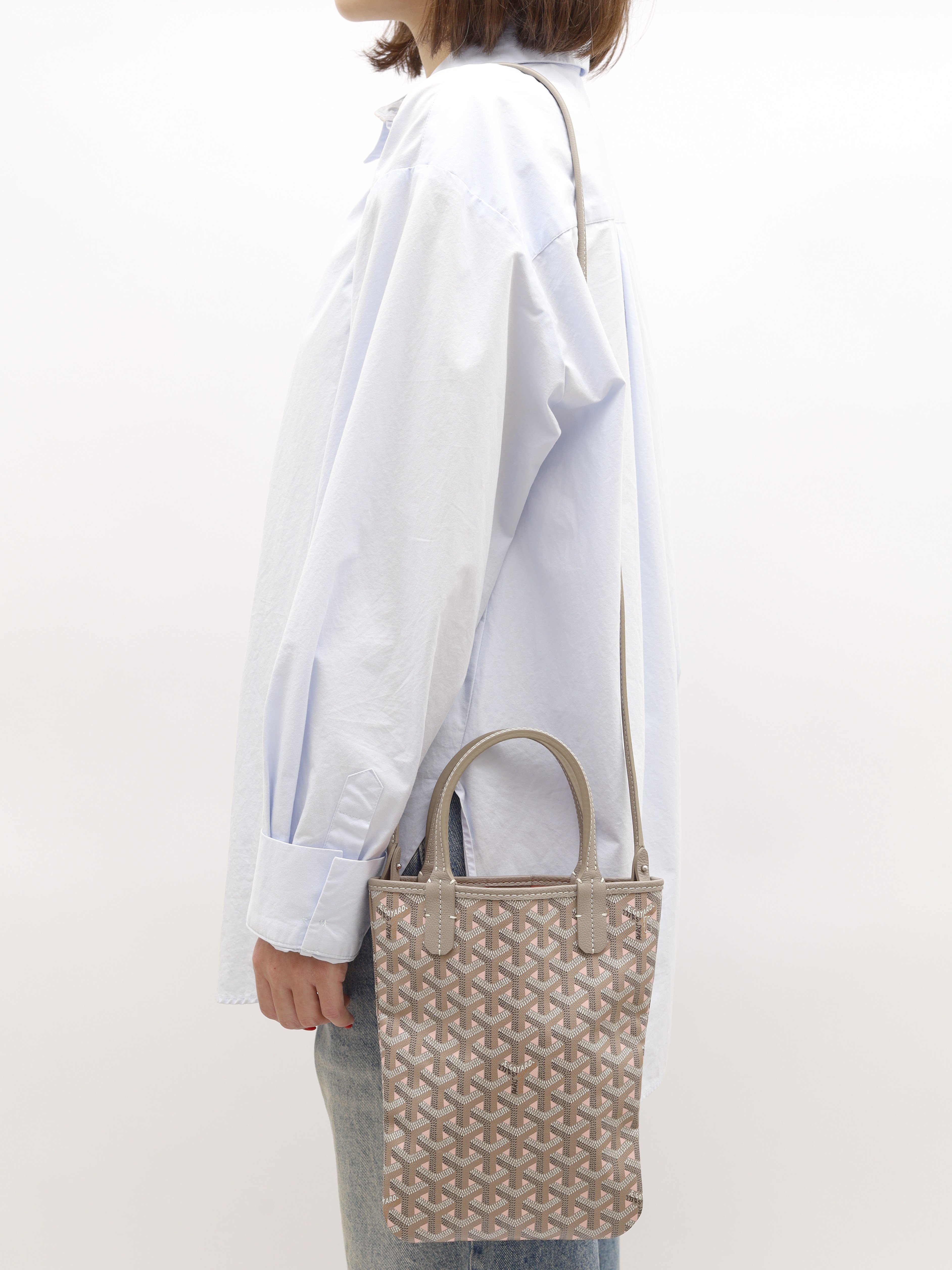 Goyard Poitiers Claire-Voie  1