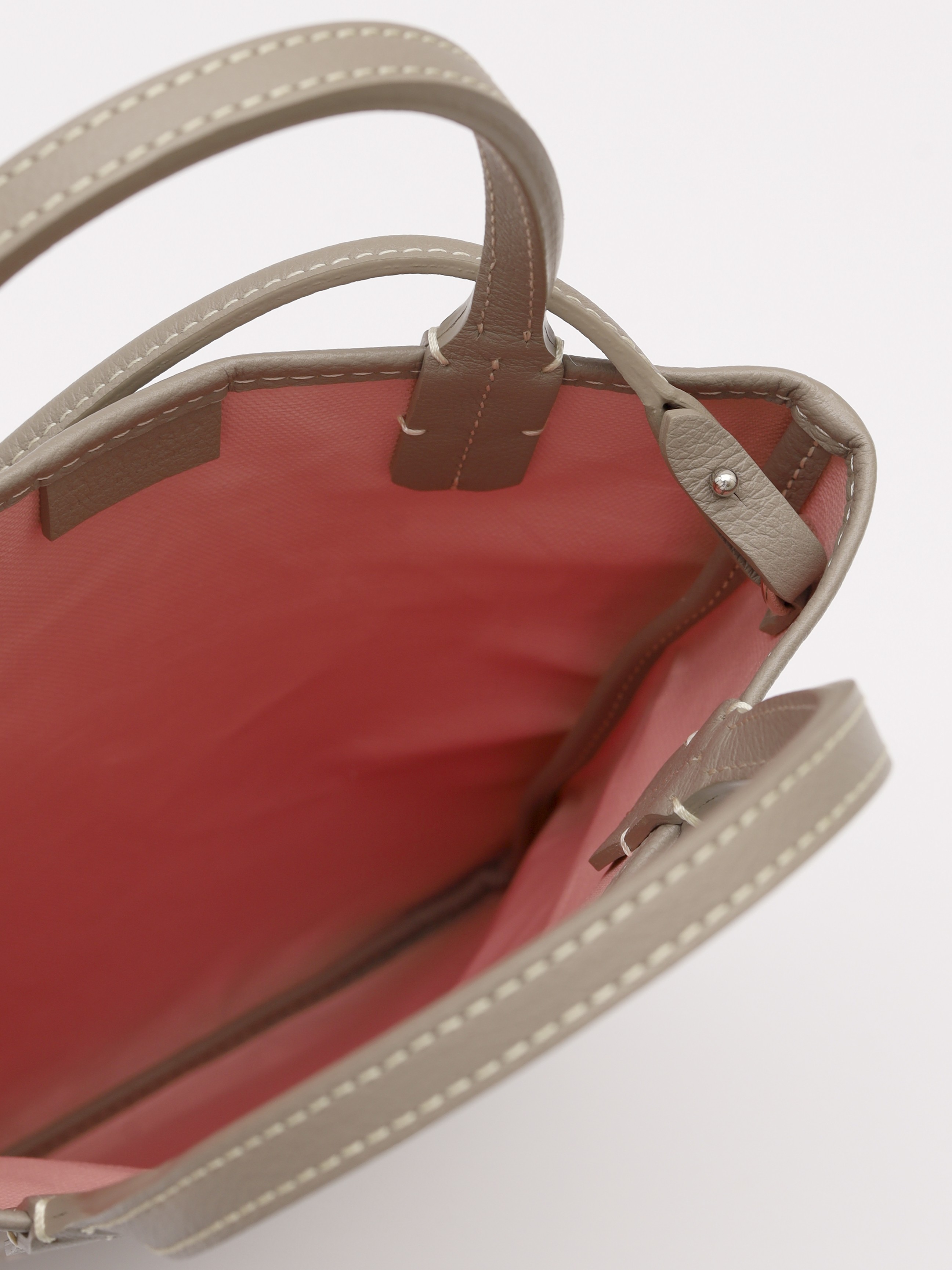 Goyard Poitiers Claire-Voie  7