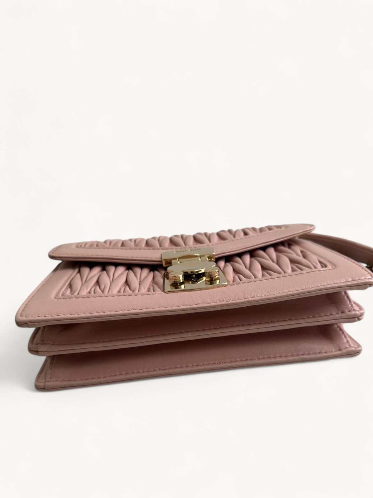 Miu Miu Confidential 3