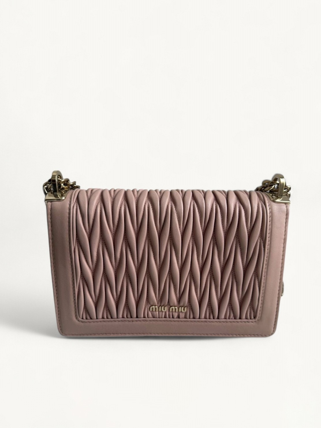 Miu Miu Confidential 1
