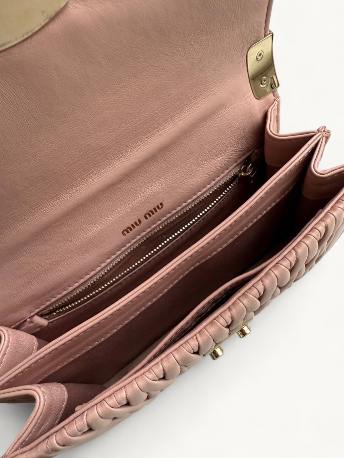 Miu Miu Confidential 4
