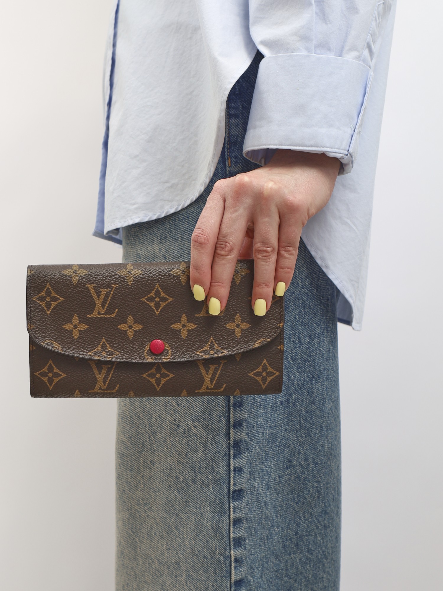 Louis Vuitton Wallet 1