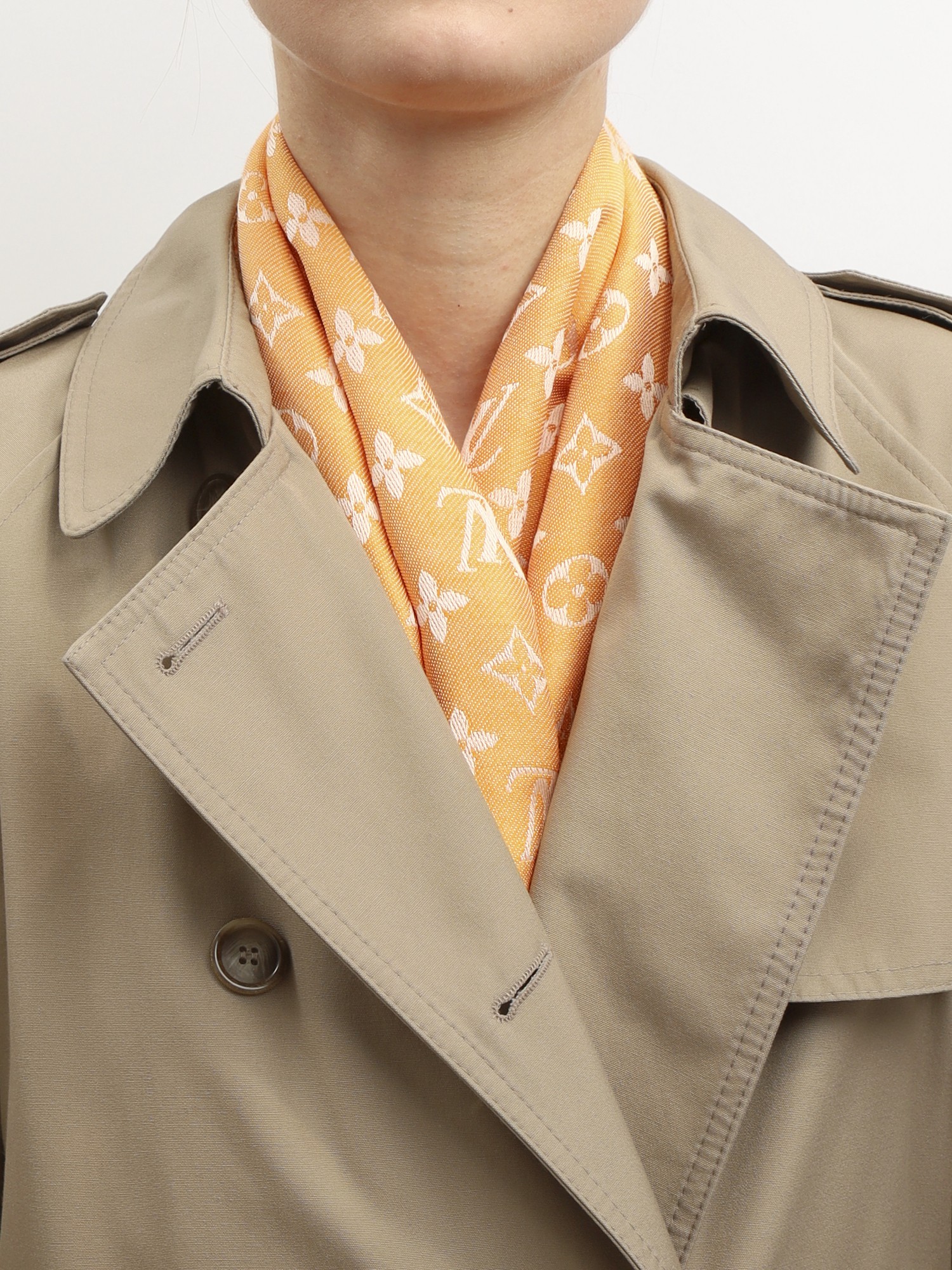 Louis Vuitton Scarf 1