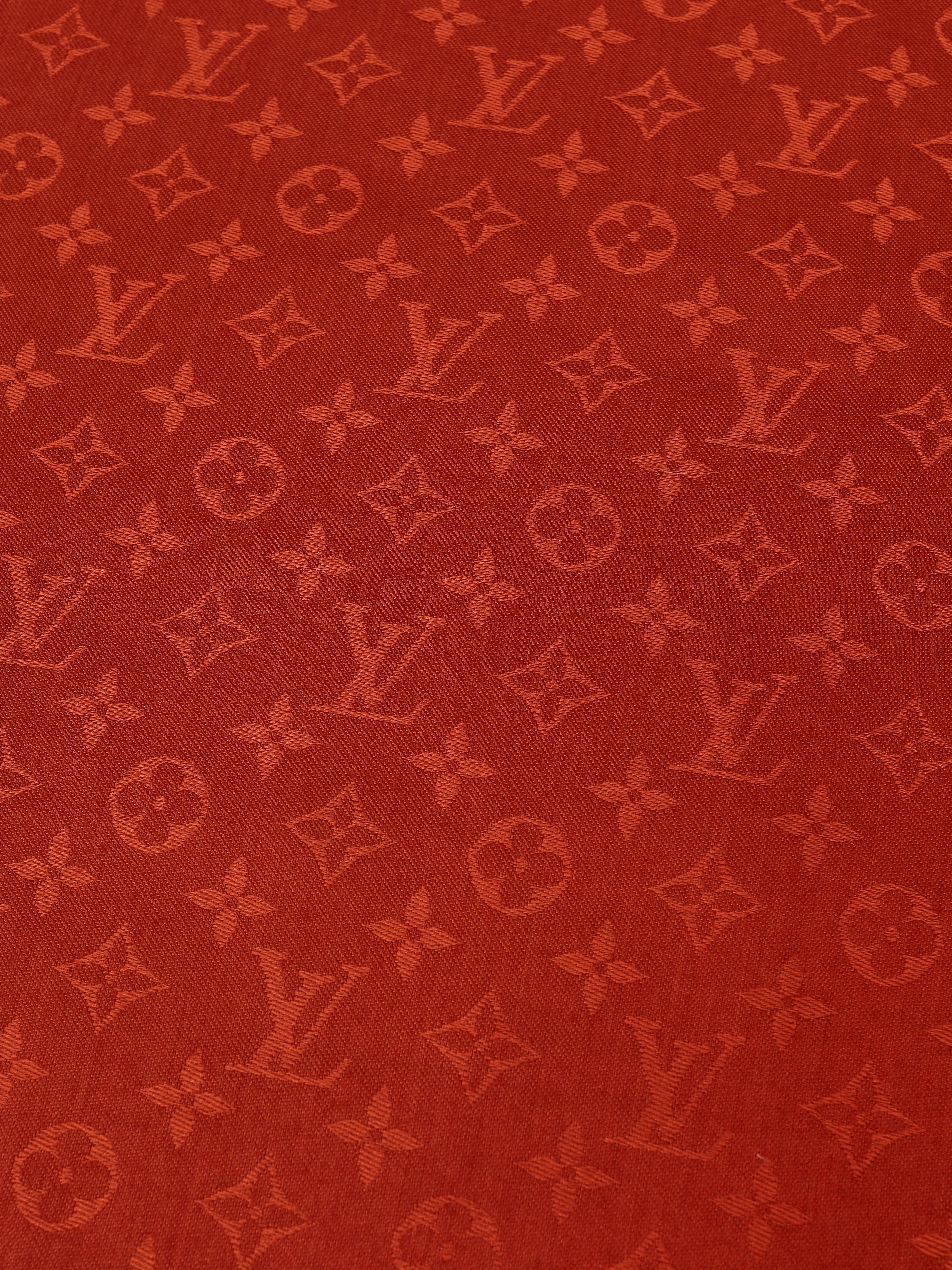 Louis Vuitton Scarf 4