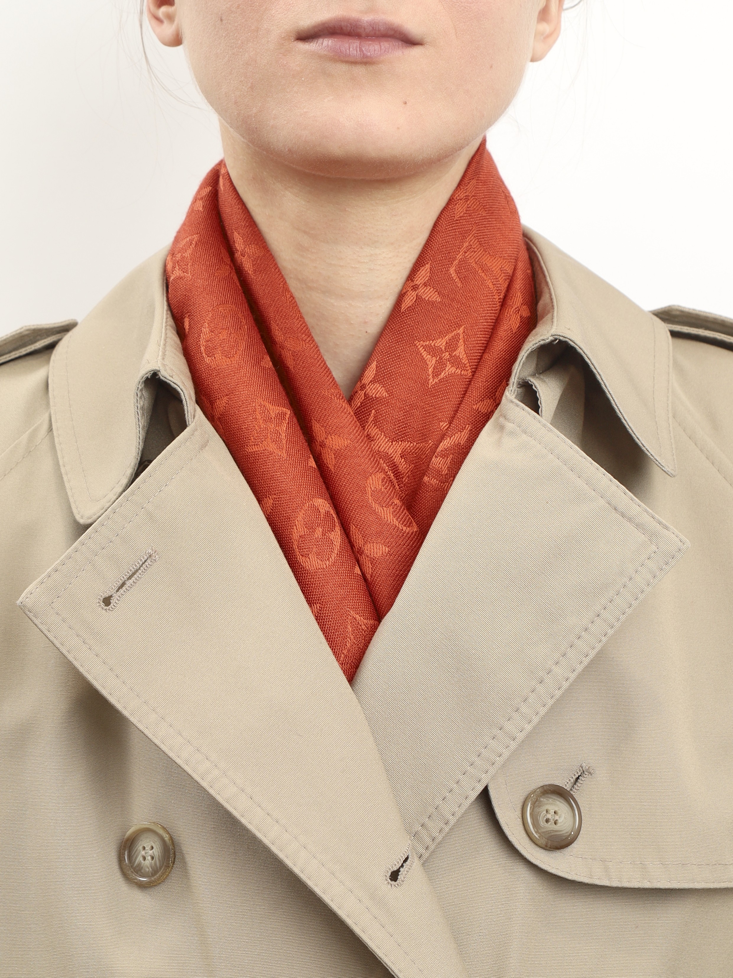 Louis Vuitton Scarf 1