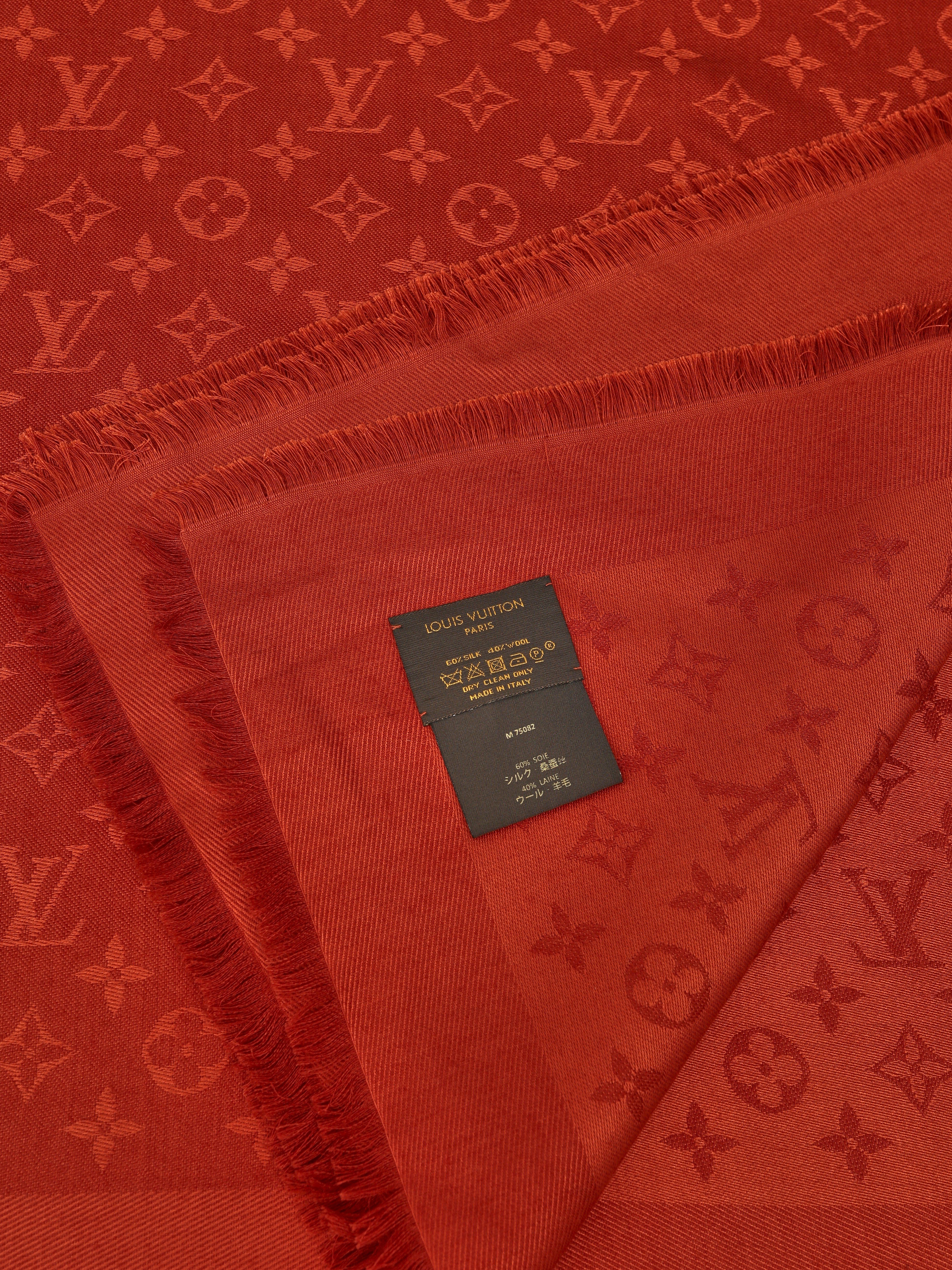 Louis Vuitton Scarf 6