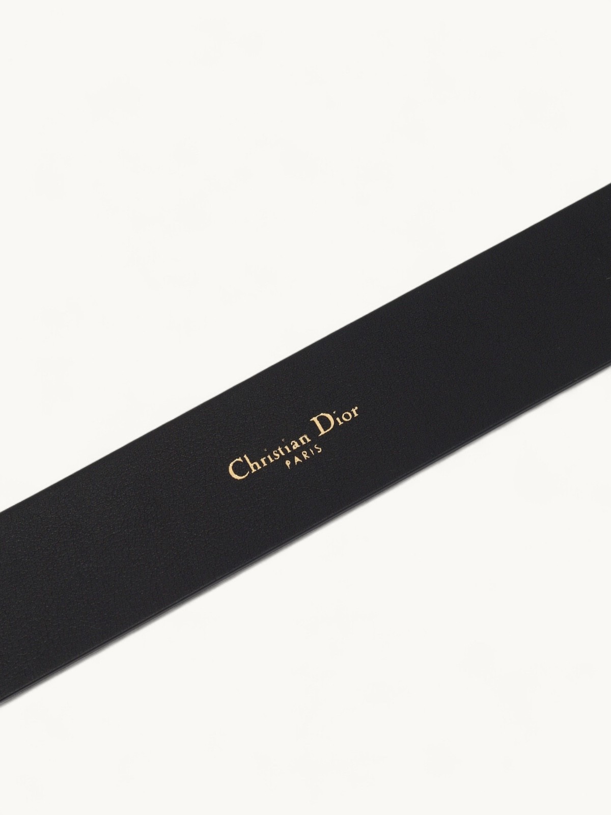 Dior Belt 5