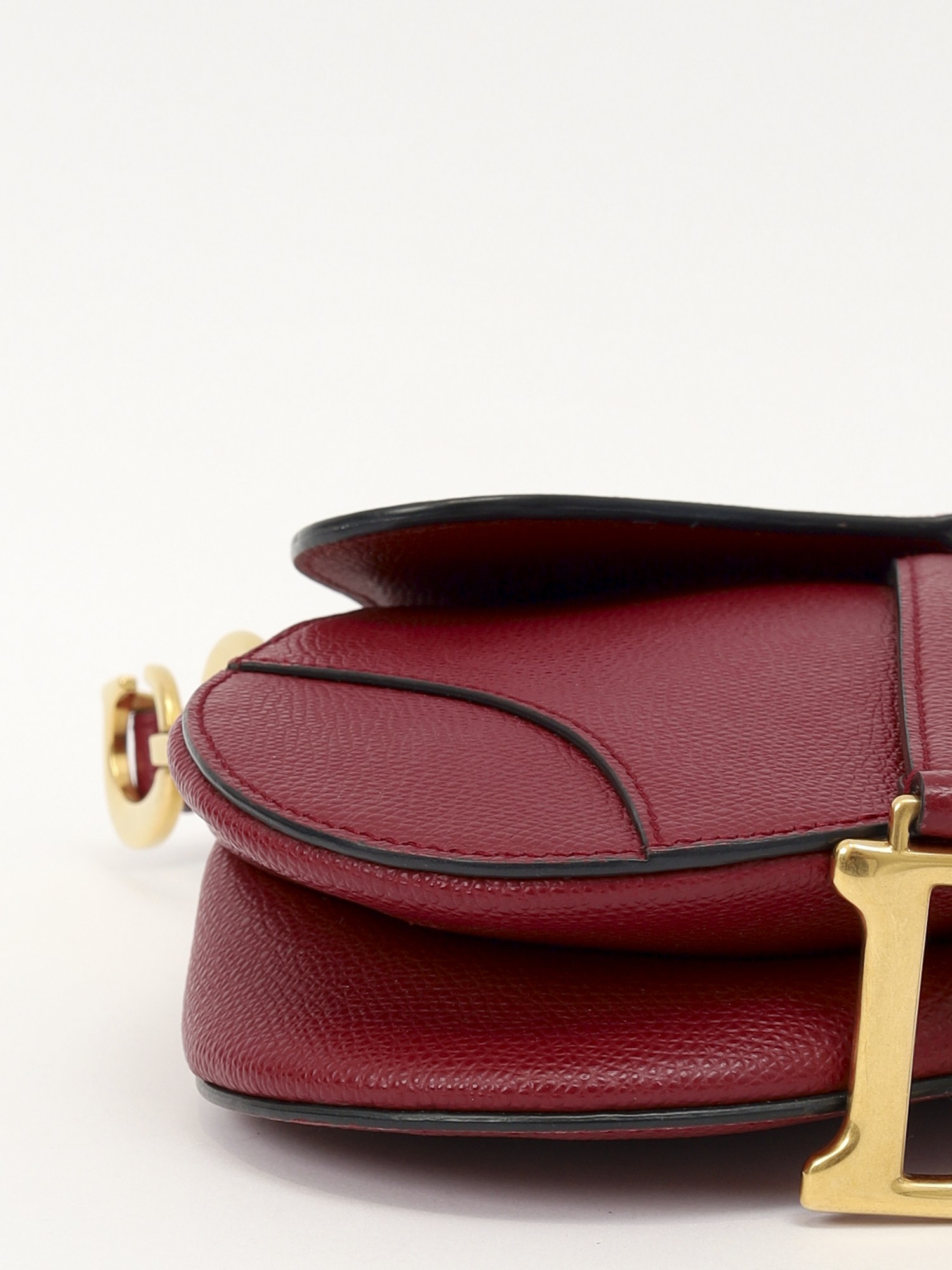 Dior Saddle 7