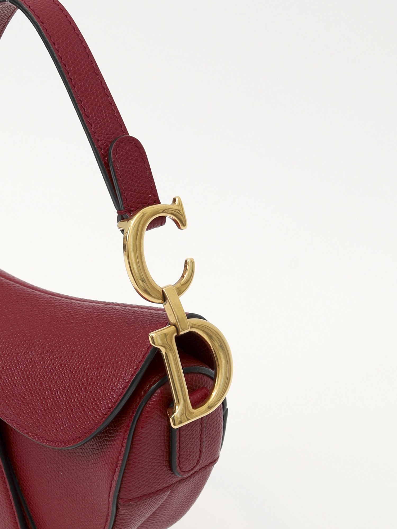 Dior Saddle 6