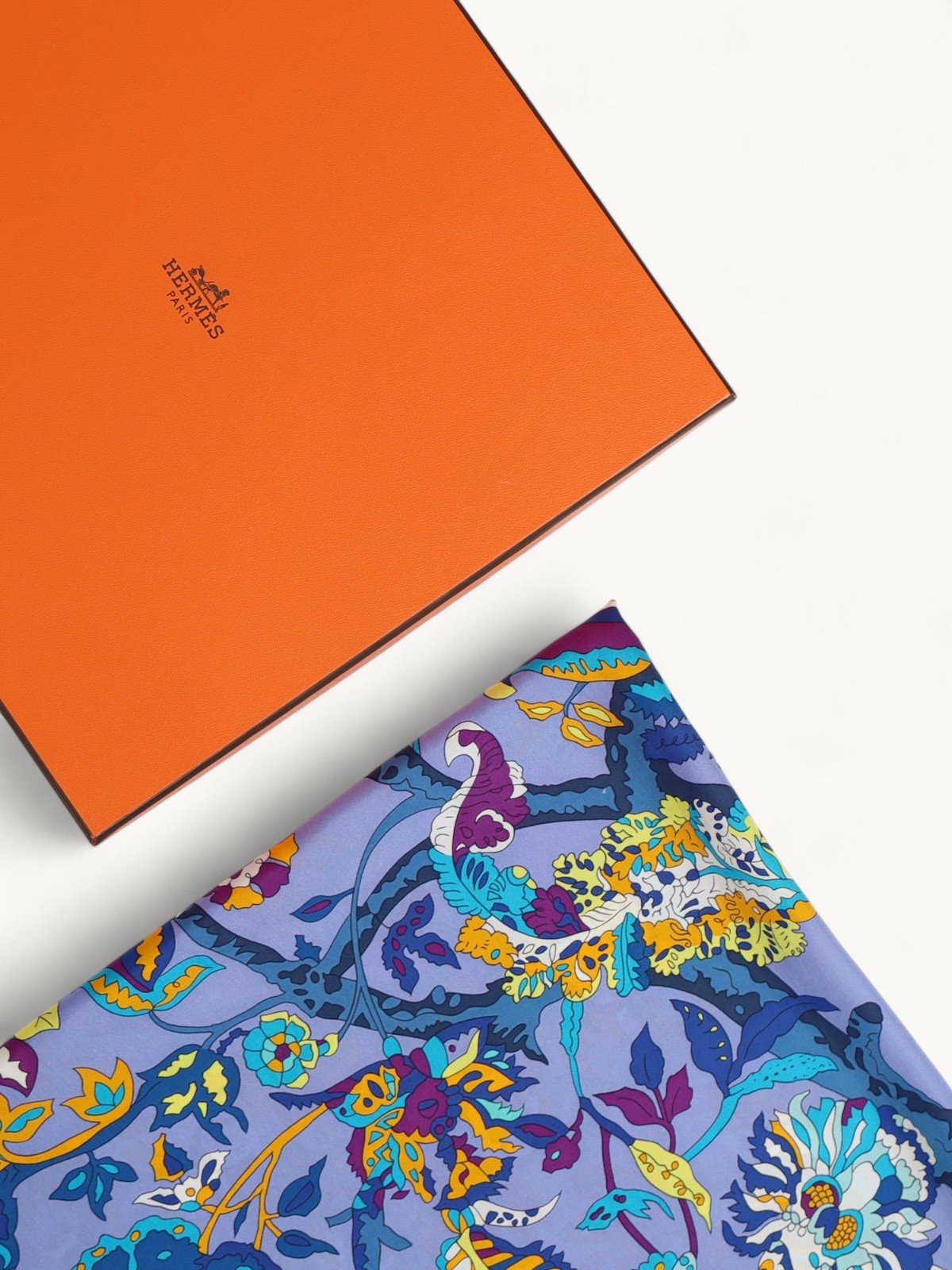 Hermes Silk Scarf 5