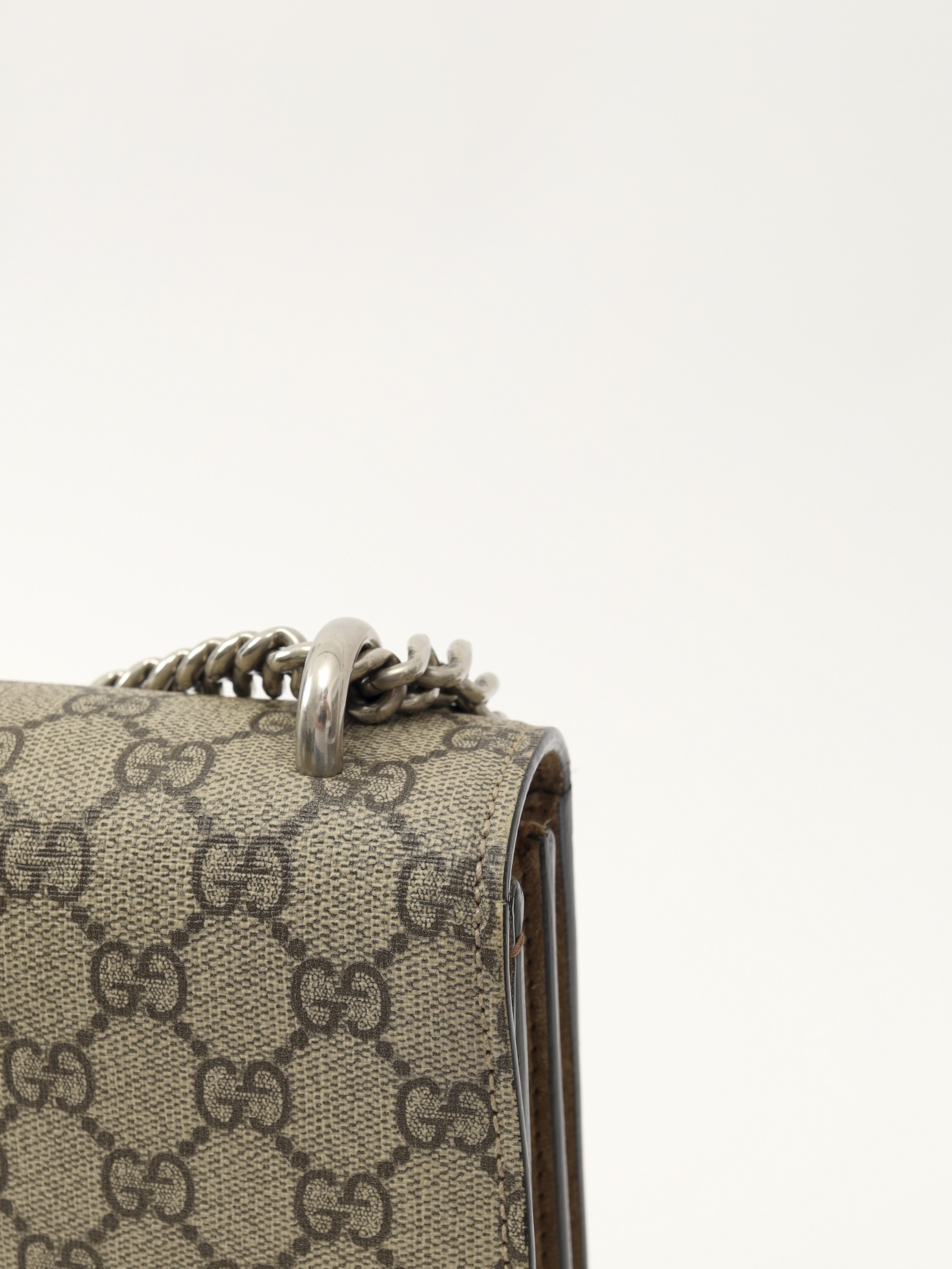 Gucci Dionysus  9