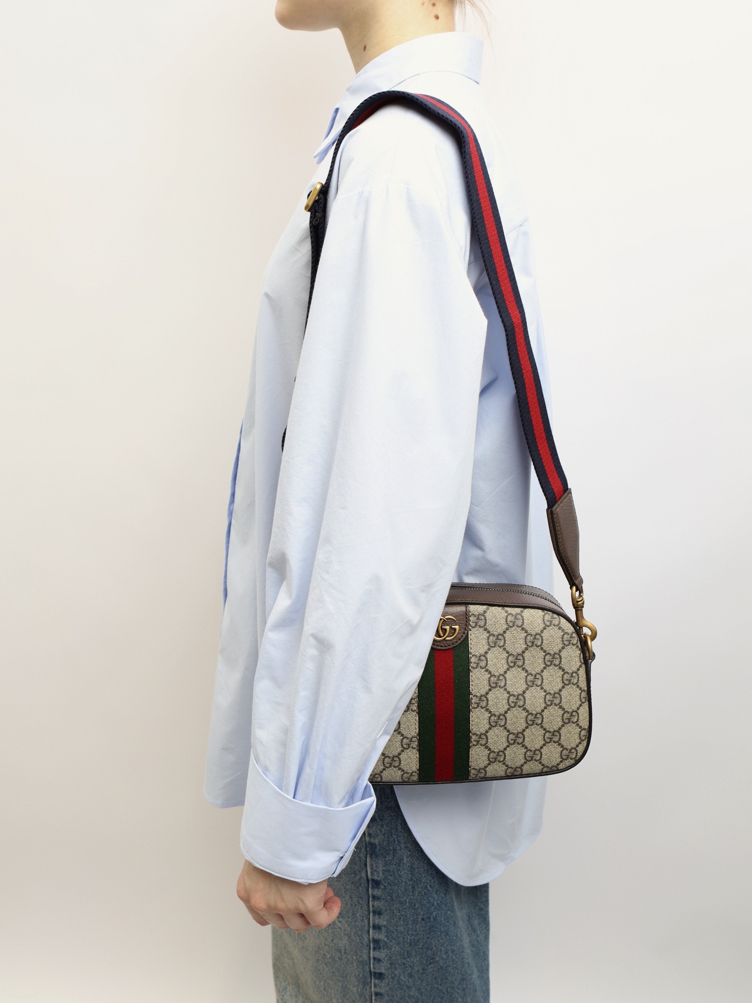 Gucci Ophidia  1