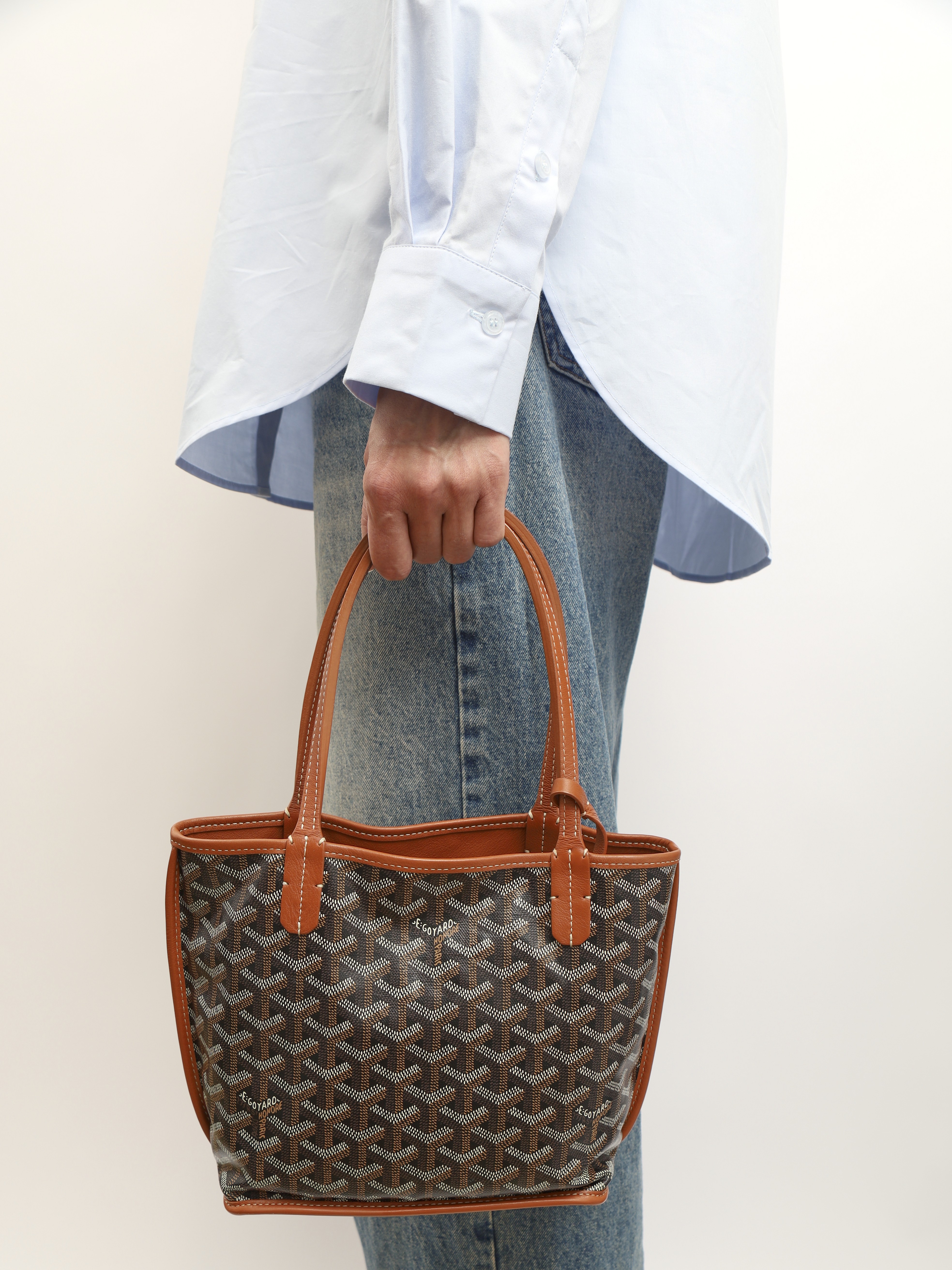 Goyard Anjou  1