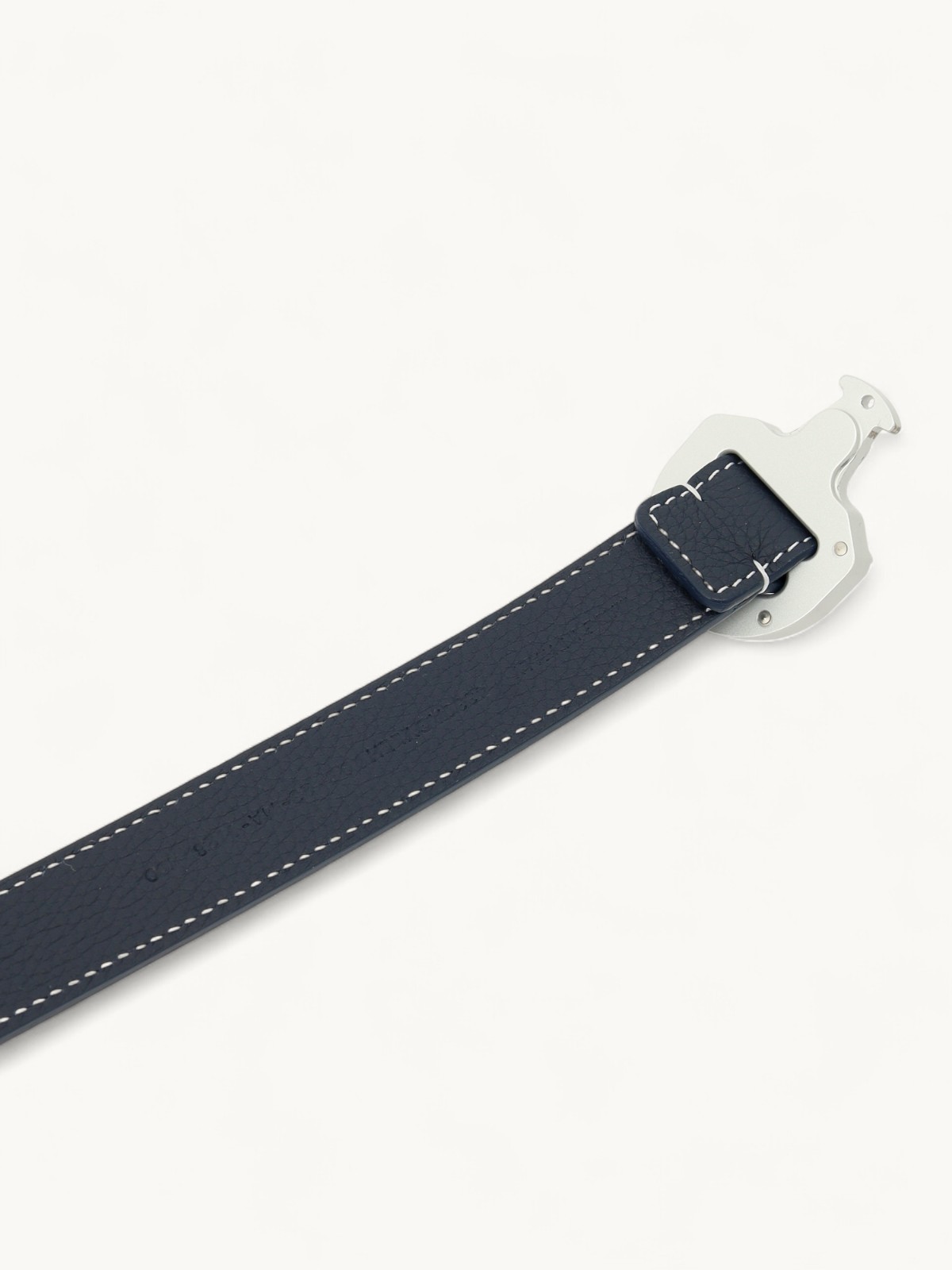 Dior Belt 4