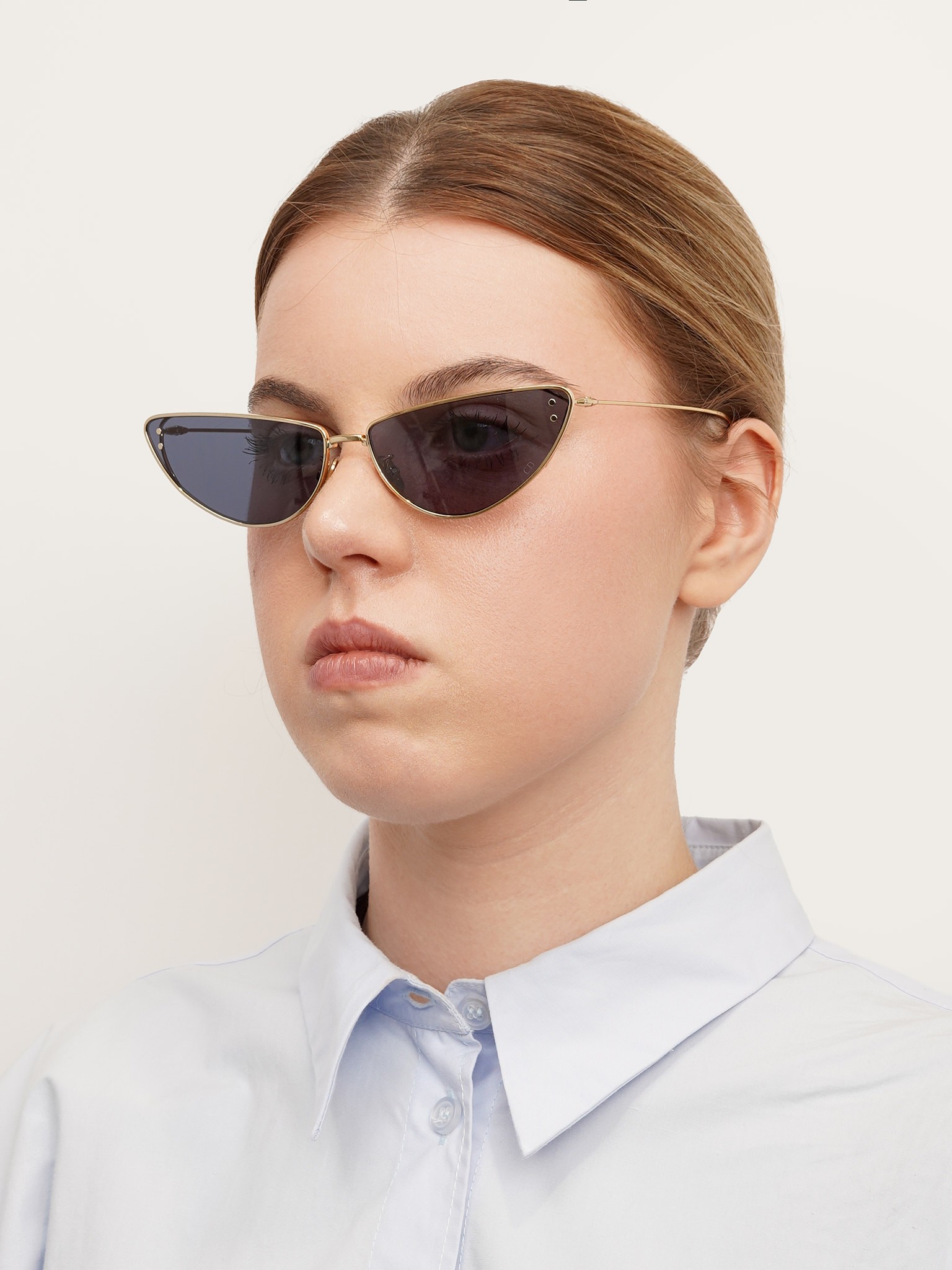 Dior Sunglasses 1