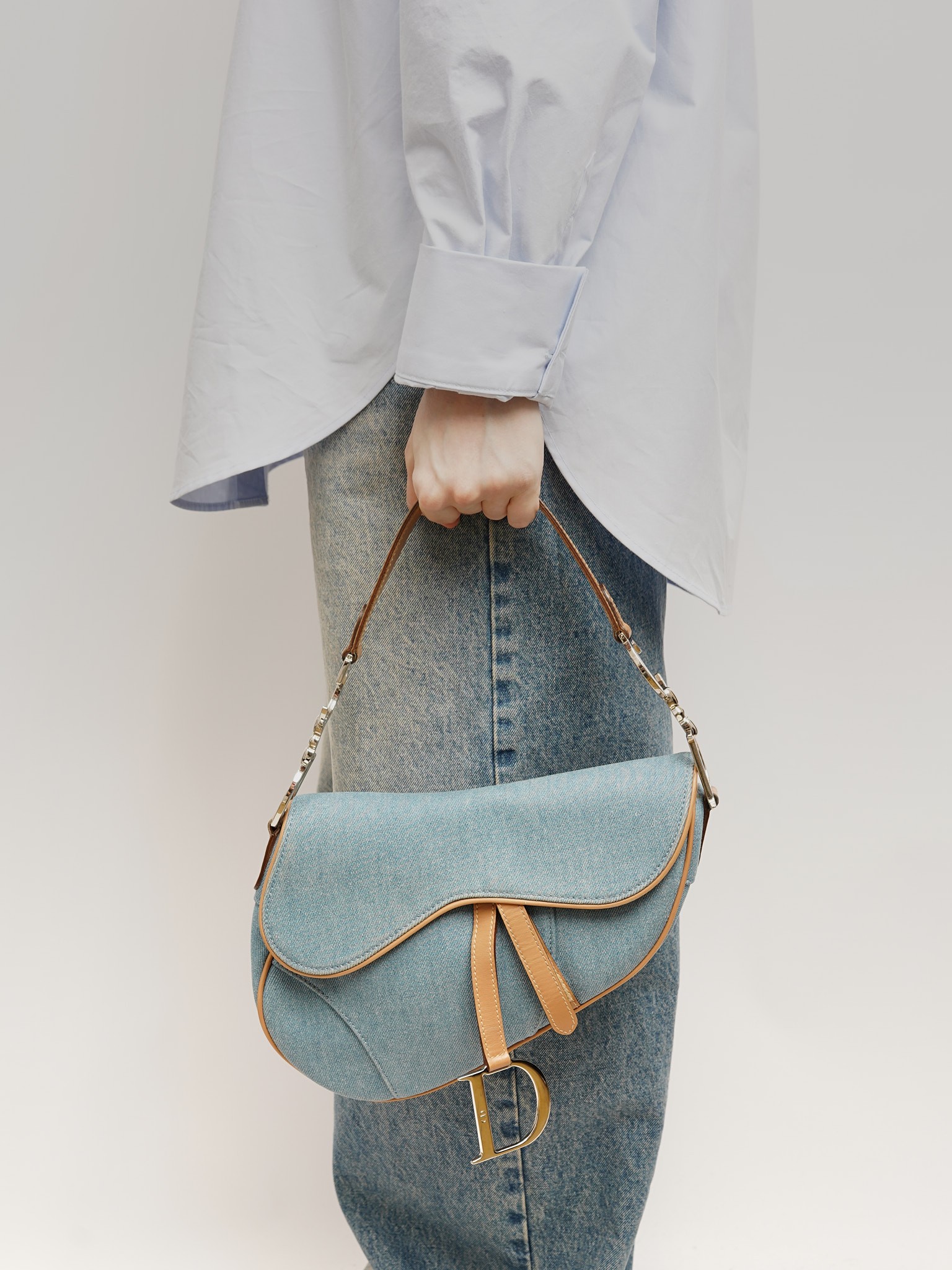 Dior Saddle 1