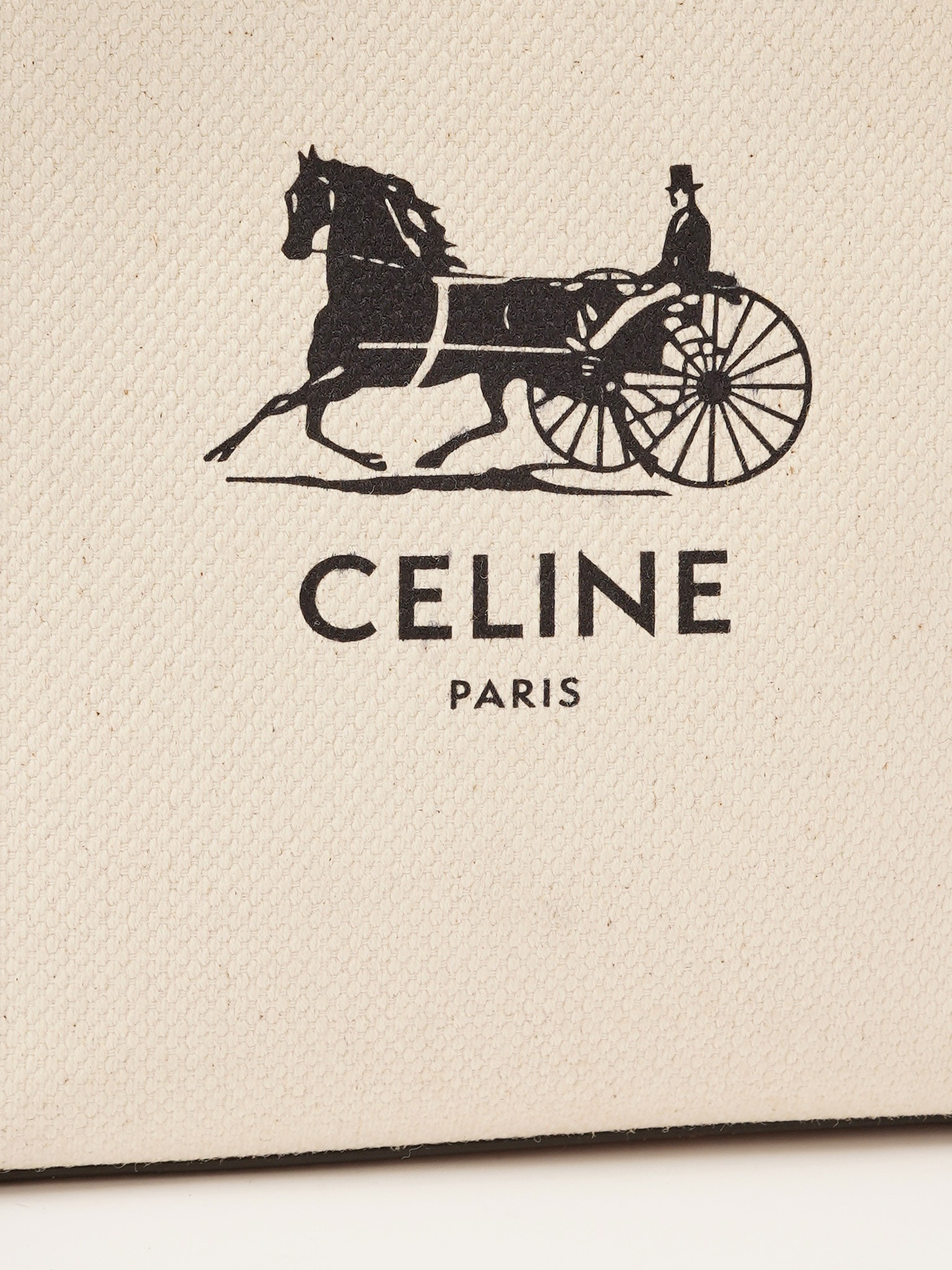 Celine Cabas 5