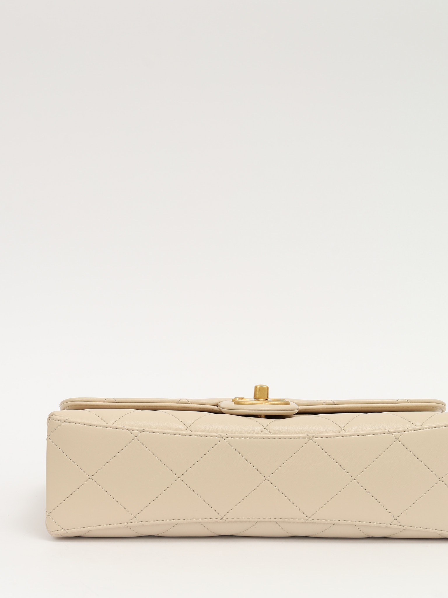 Chanel Leather Bag 7