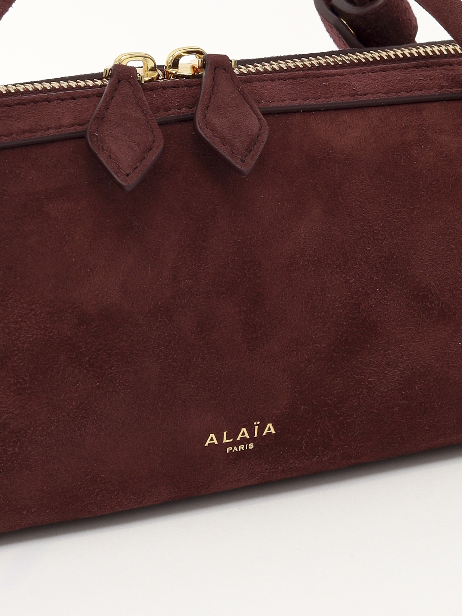 Alaia Le Teckel  4
