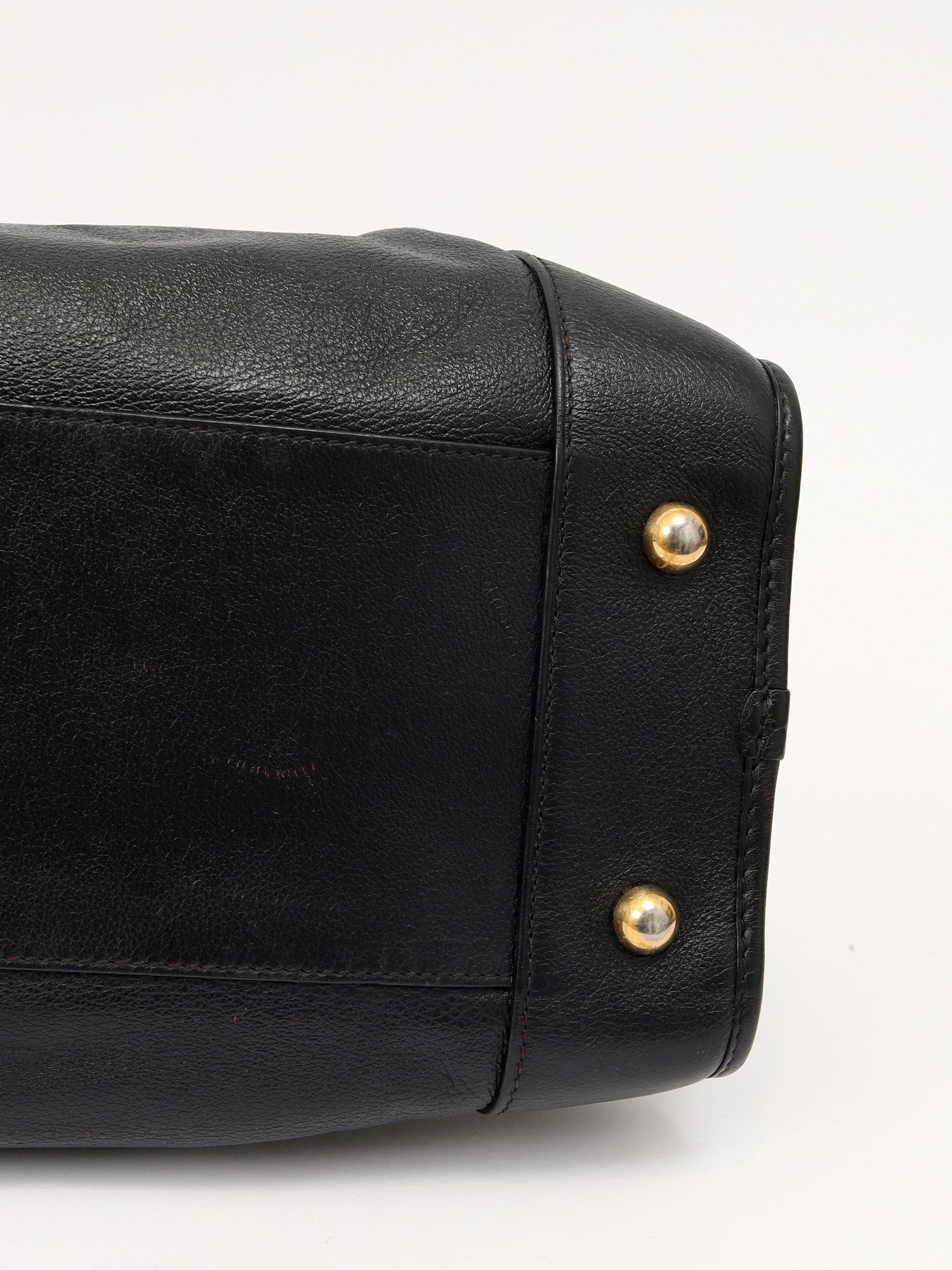 Loewe Amazona  10