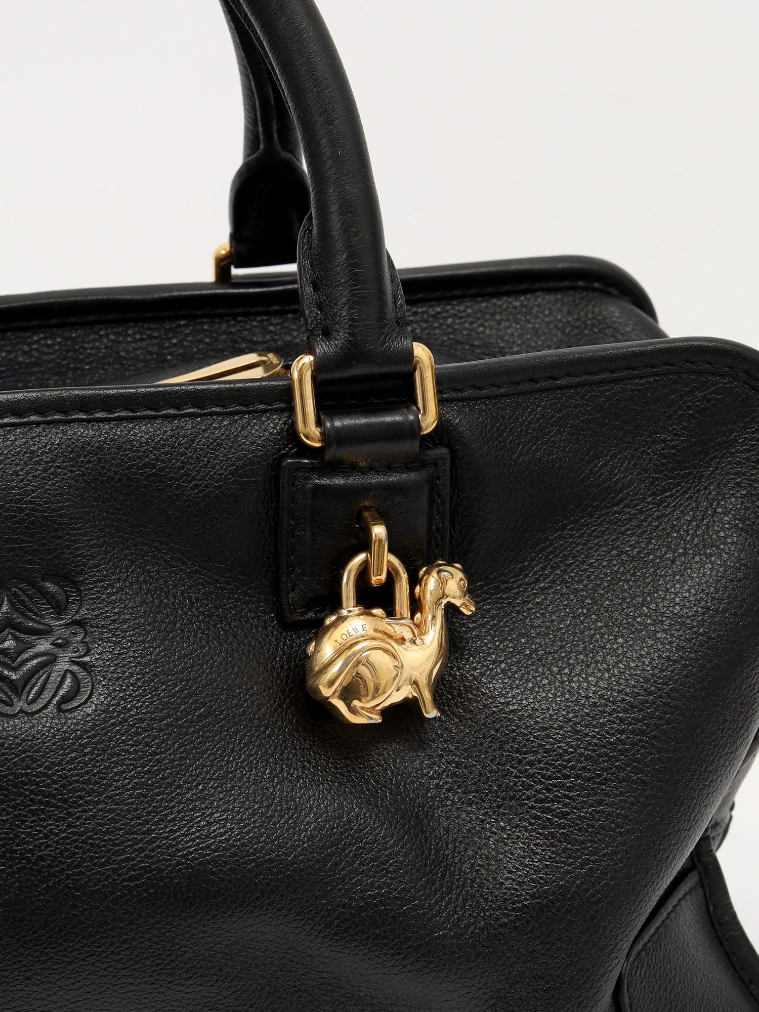 Loewe Amazona  6