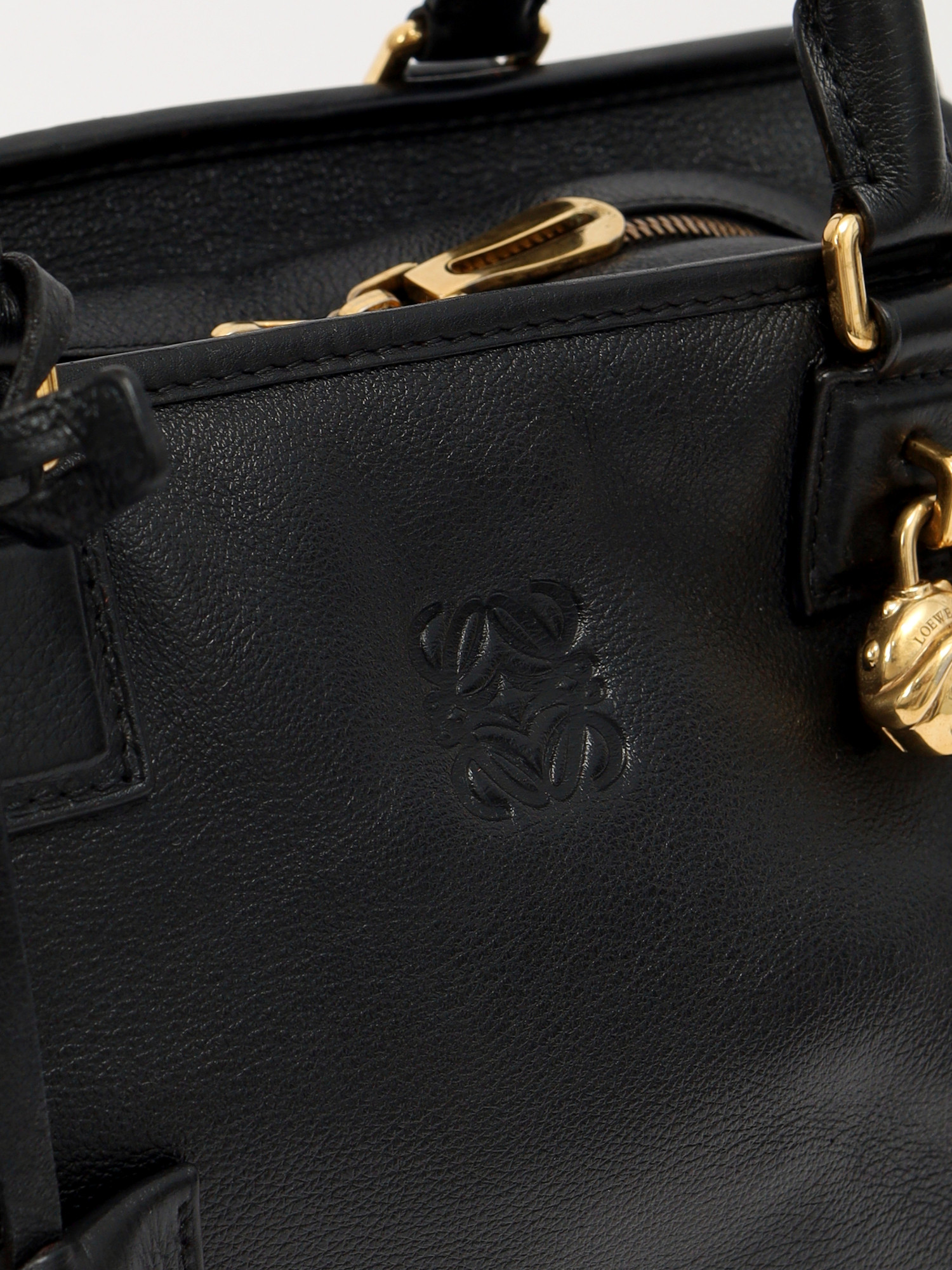 Loewe Amazona  4