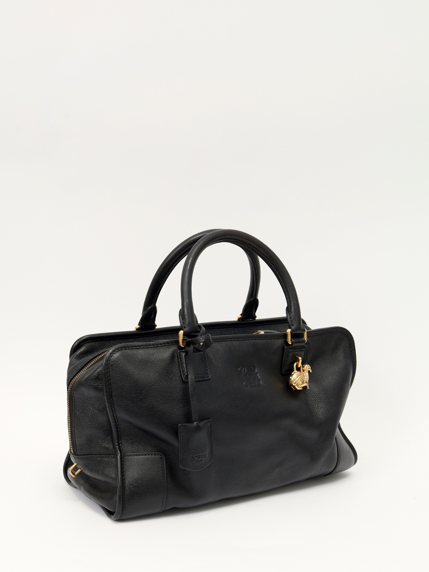 Loewe Amazona  2