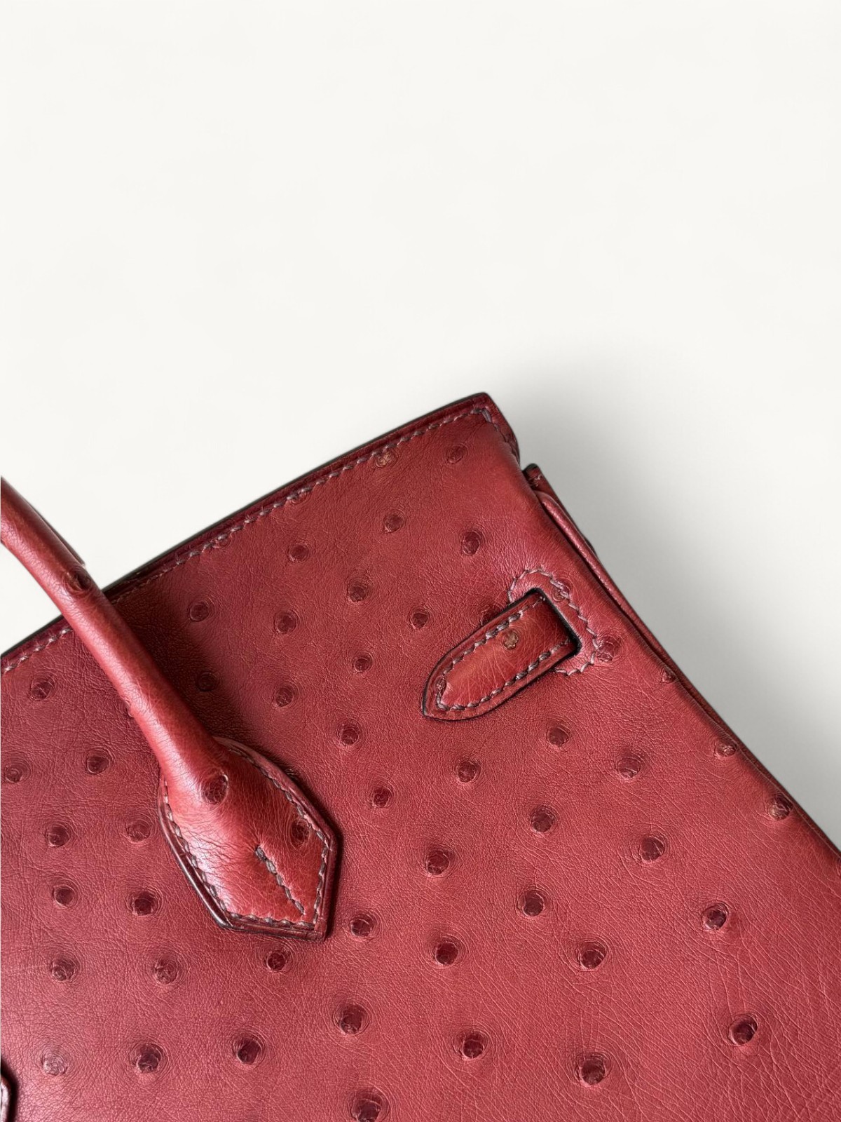 Hermes Birkin 25 3