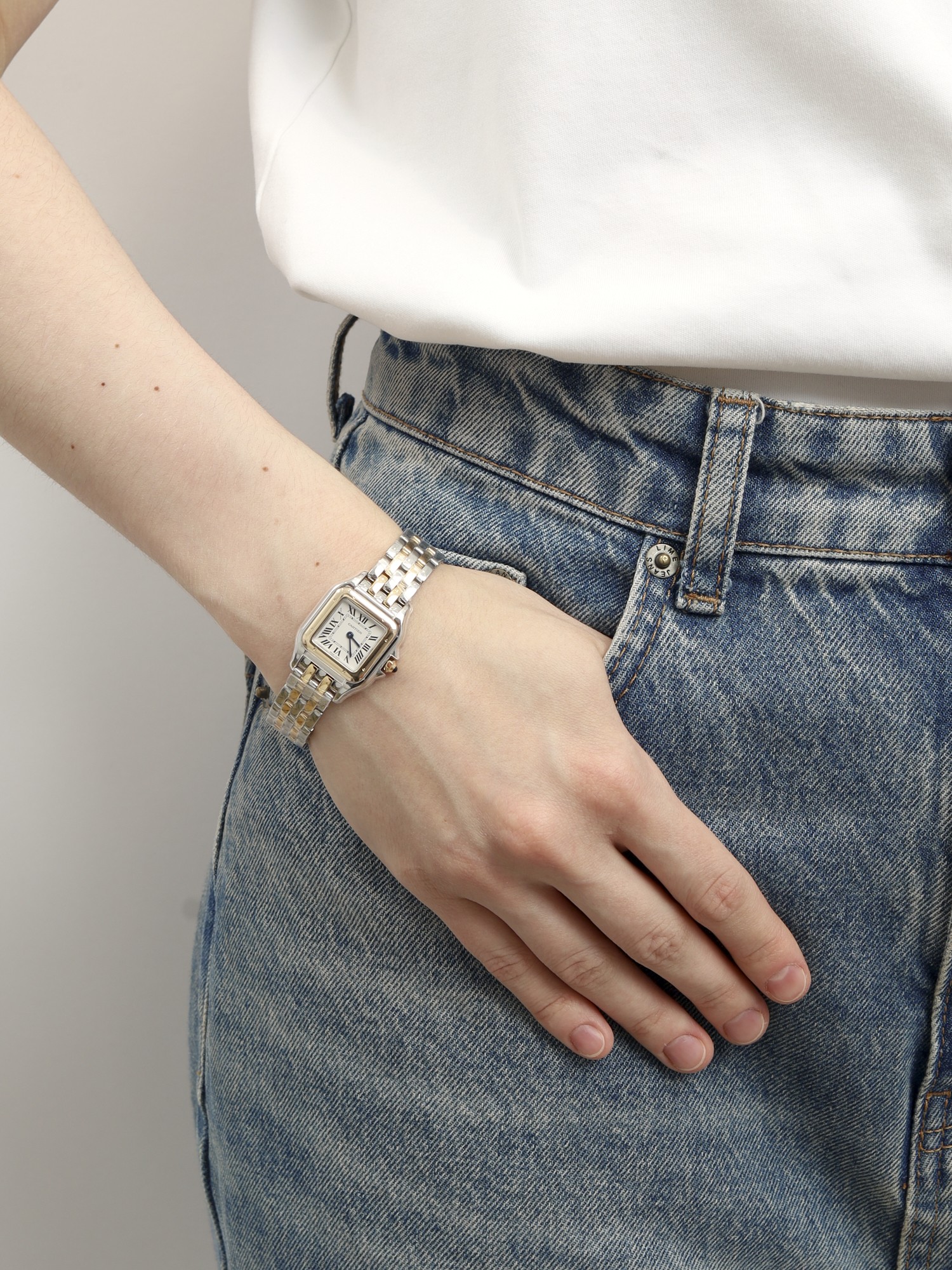 Cartier Panthère de Cartier  1