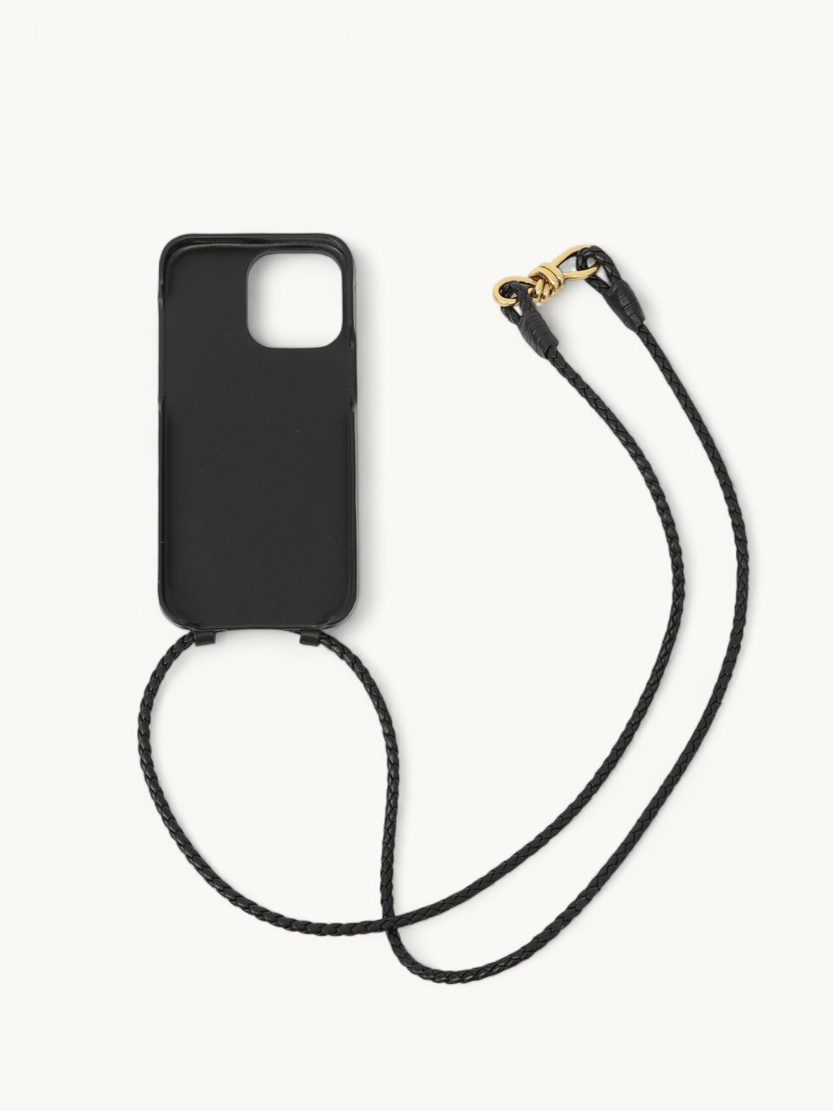 Bottega Veneta Case  1