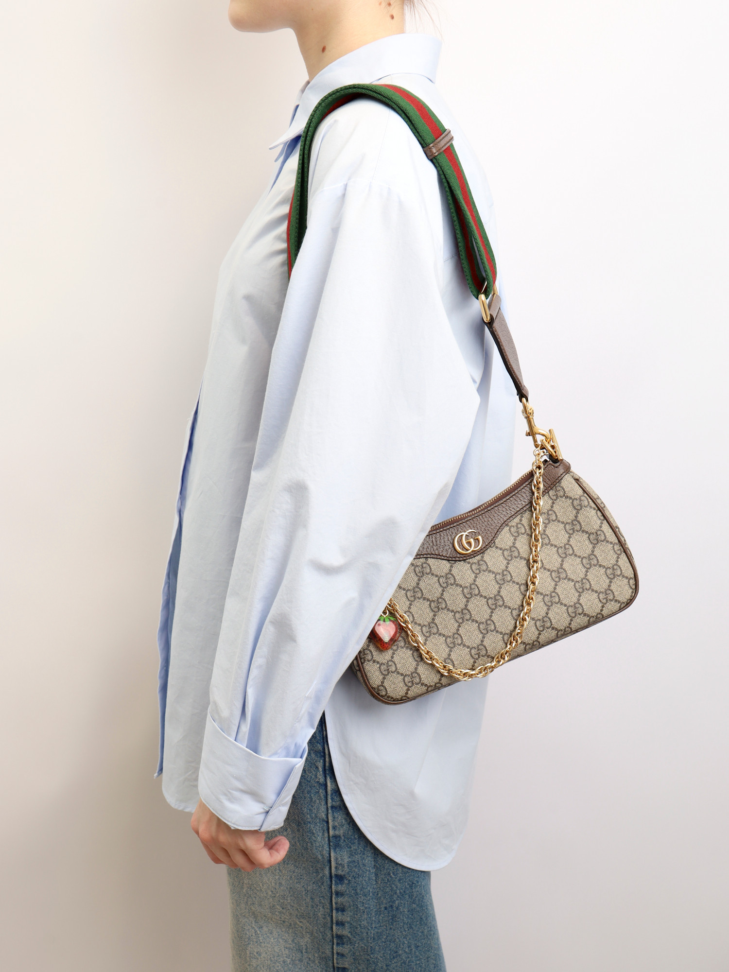 Gucci Ophidia  1