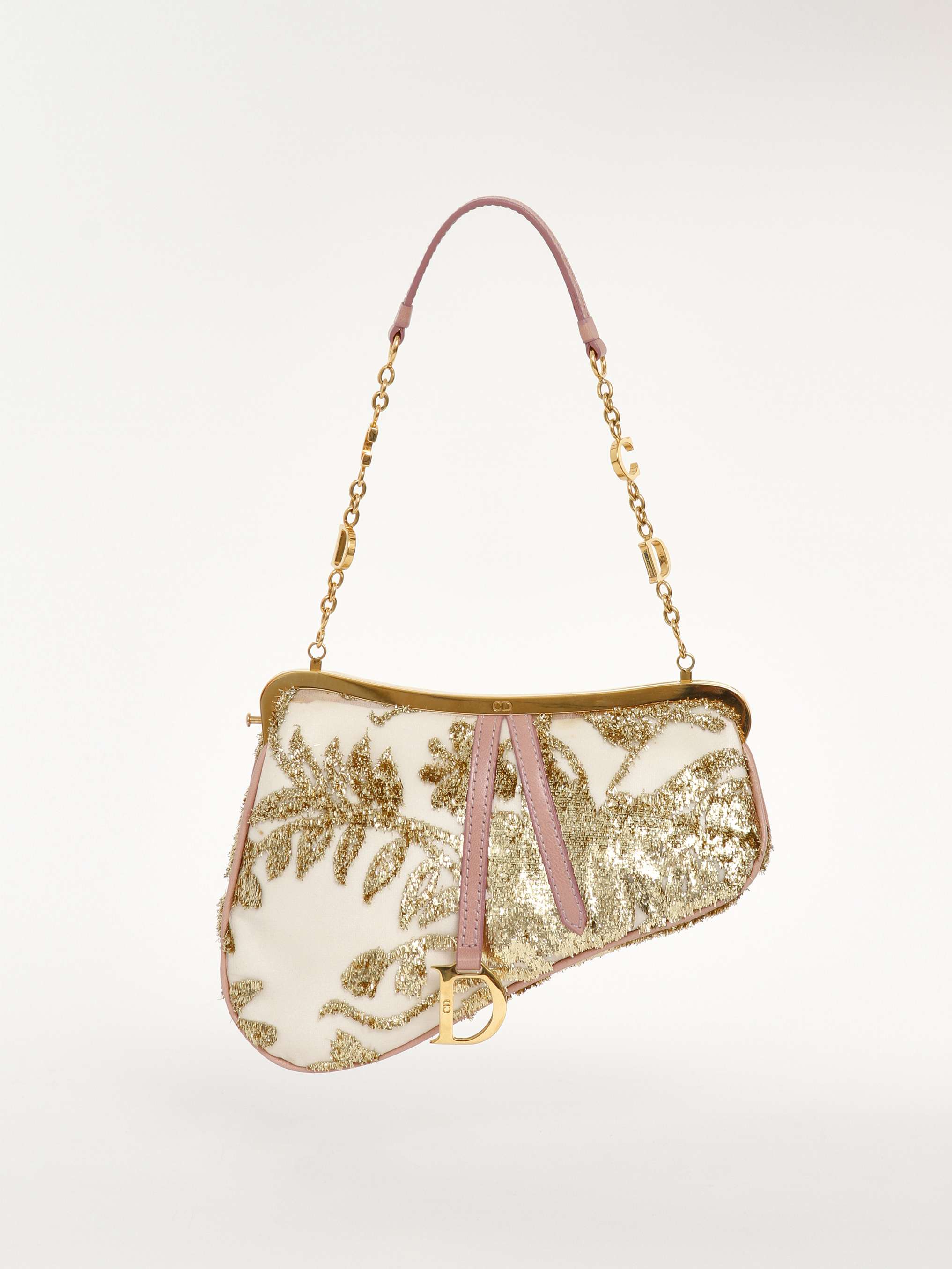 Christian Dior Saddle 