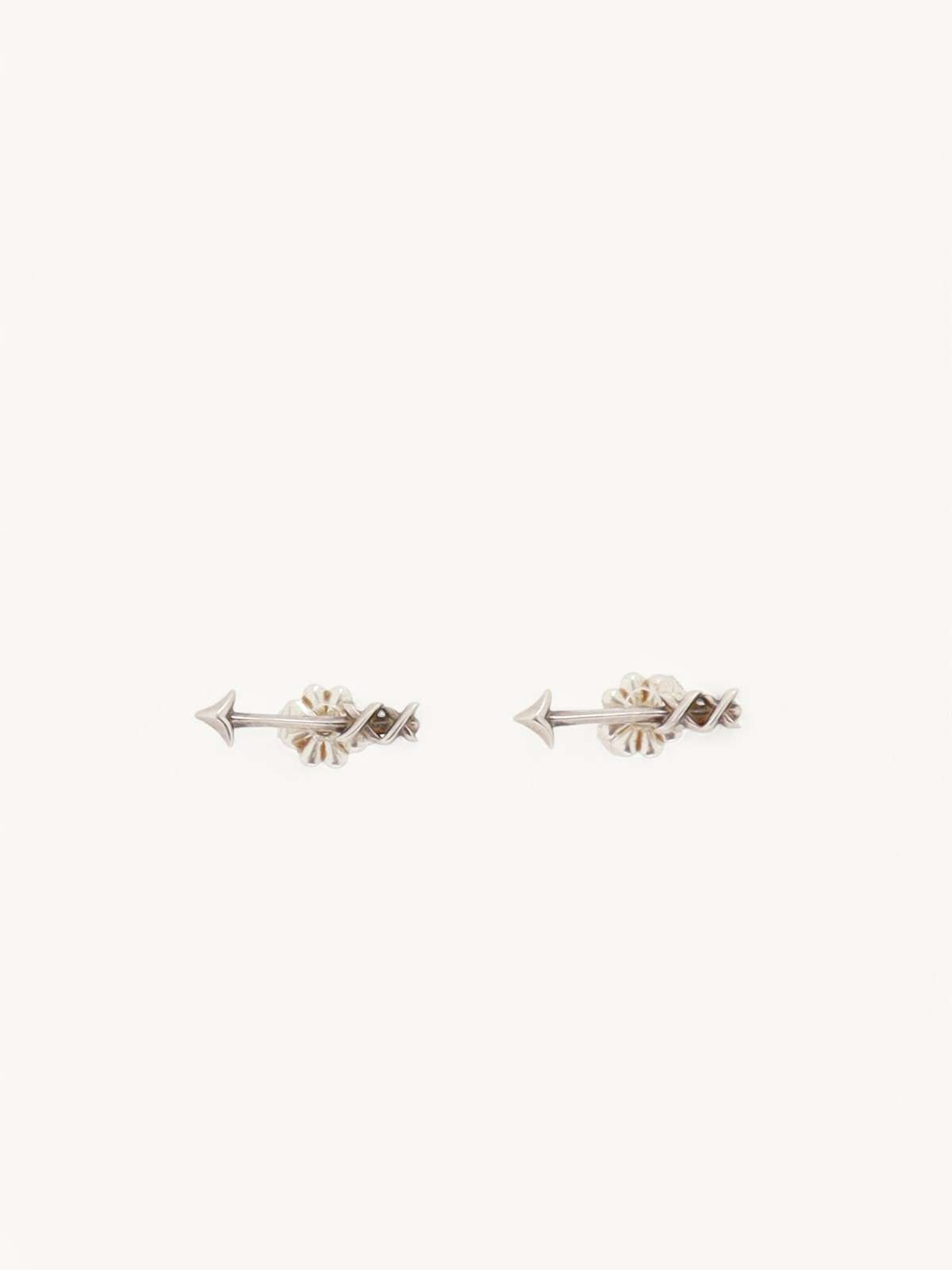 Tiffany & Co. Paloma's Graffiti 