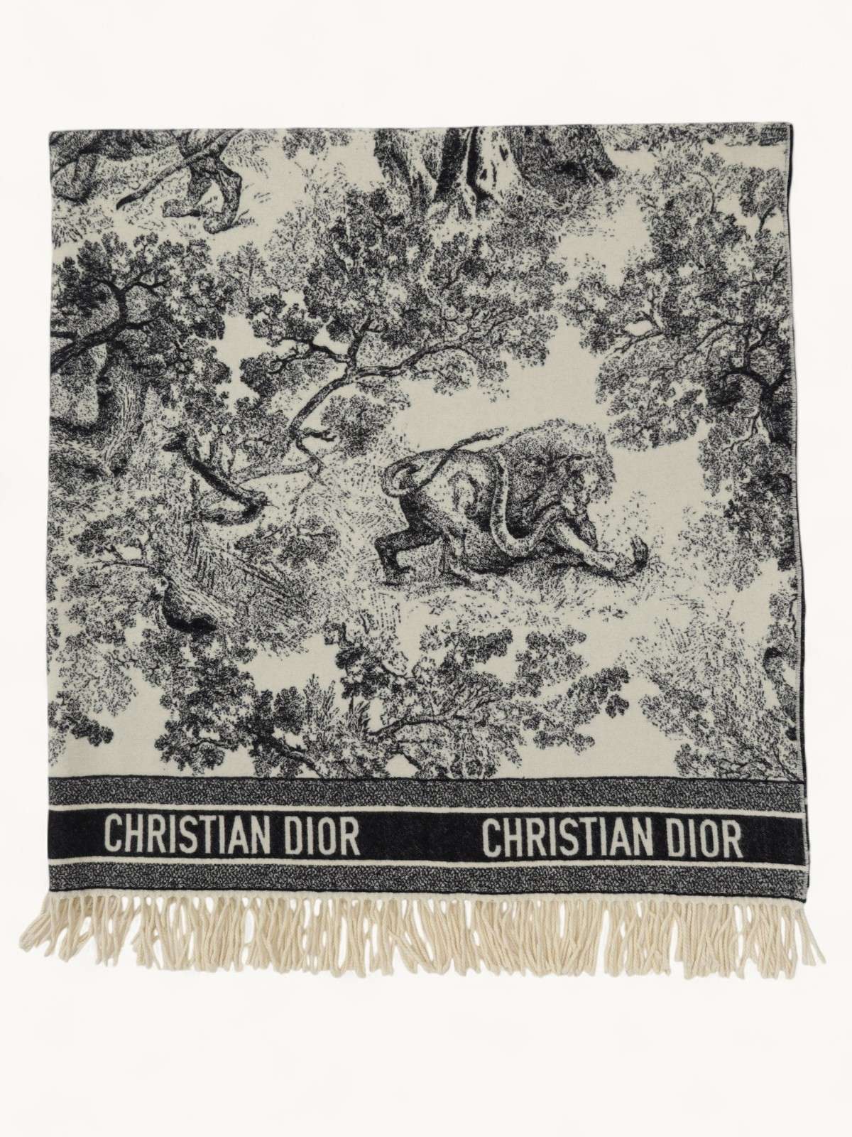 Christian Dior Blanket 