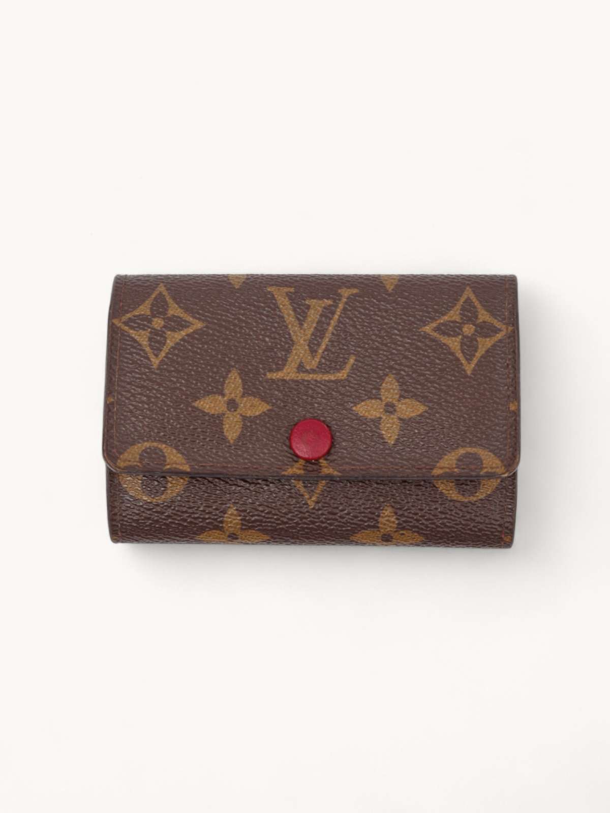 Louis Vuitton Case 