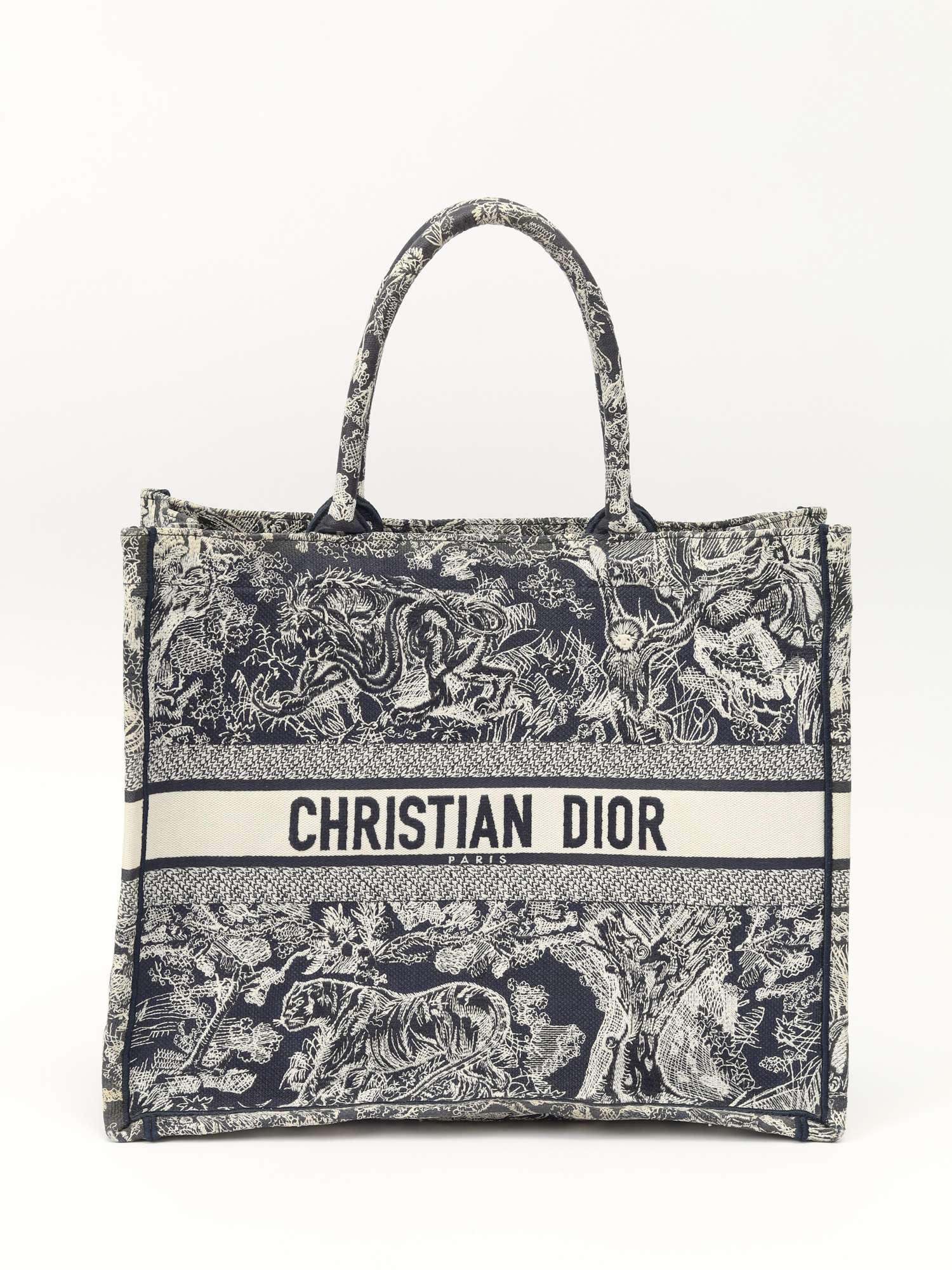 Dior Book Tote 