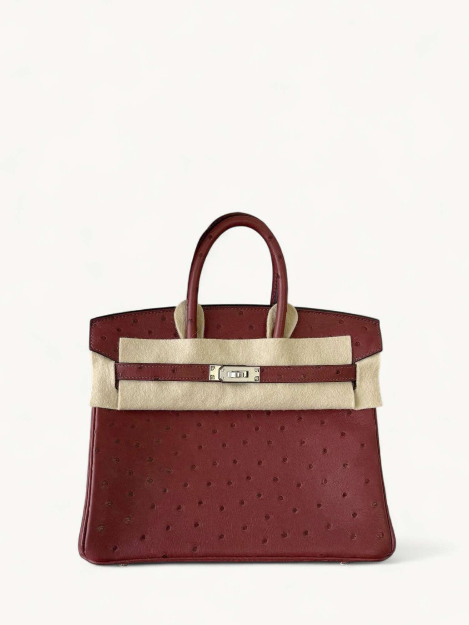 Hermes Birkin 25