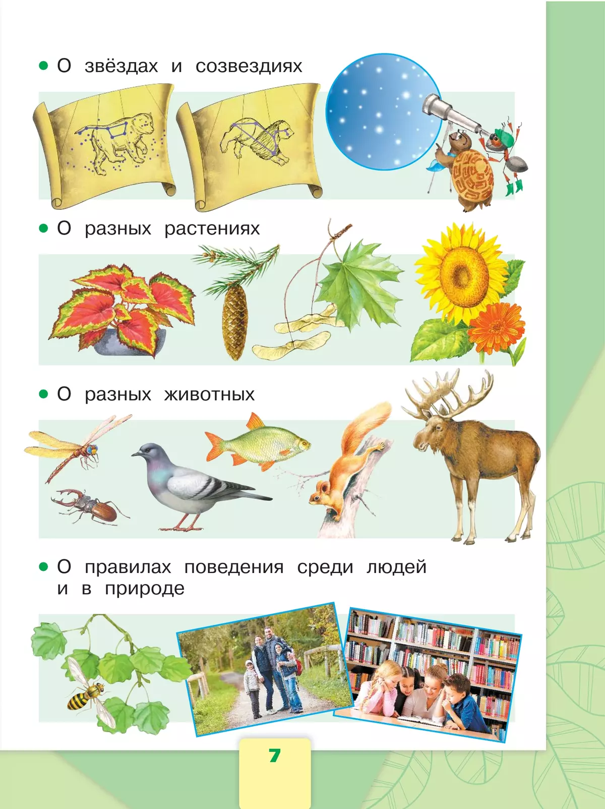 Окружающий мир. 1 класс. Учебник. В 2 ч. Часть 1 4