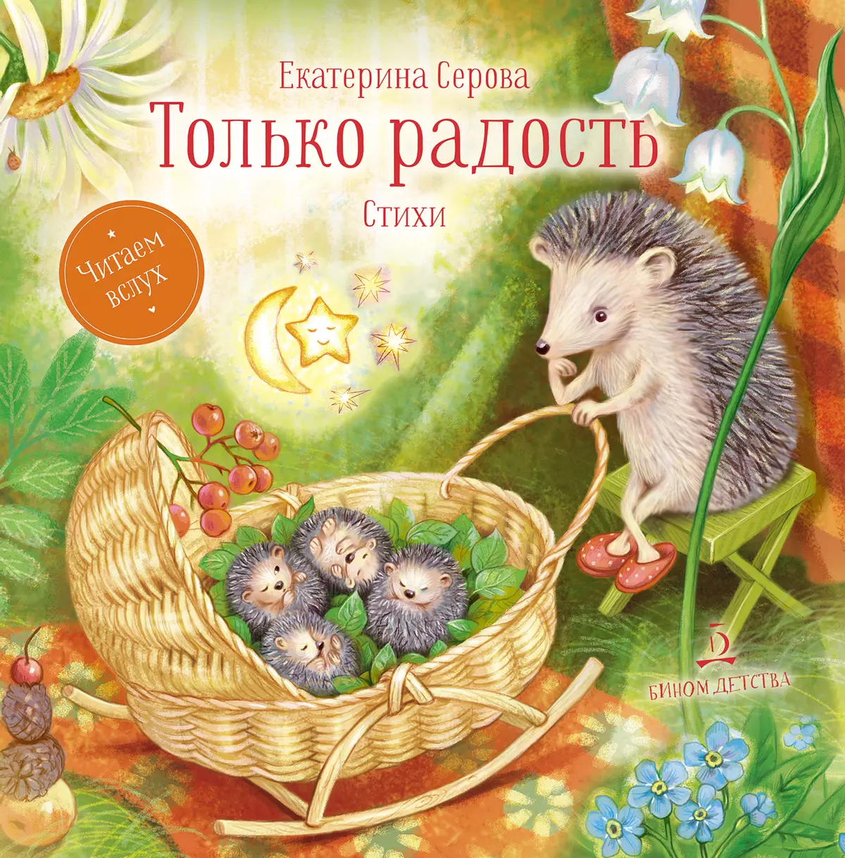 Корзина с еловыми шишками