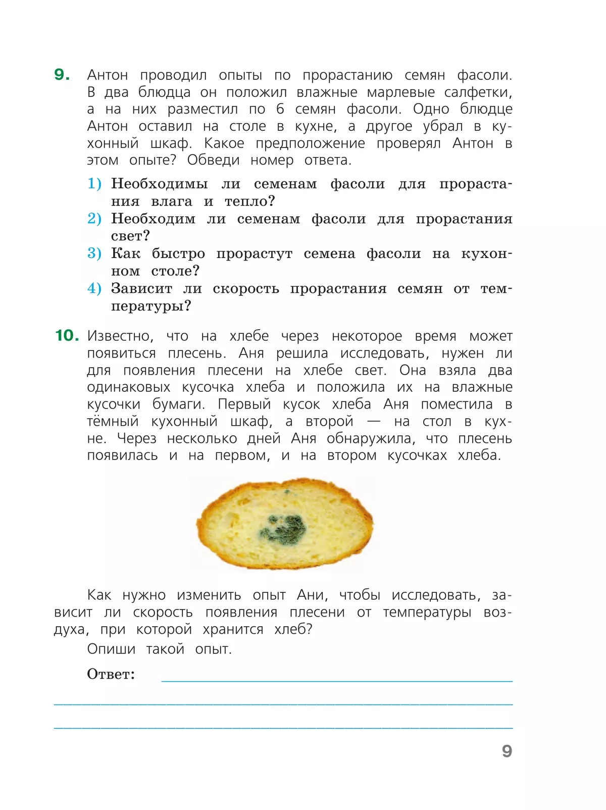 Готовимся к Всероссийской проверочной работе. Окружающий мир. Рабочая тетрадь. 4 класс 5