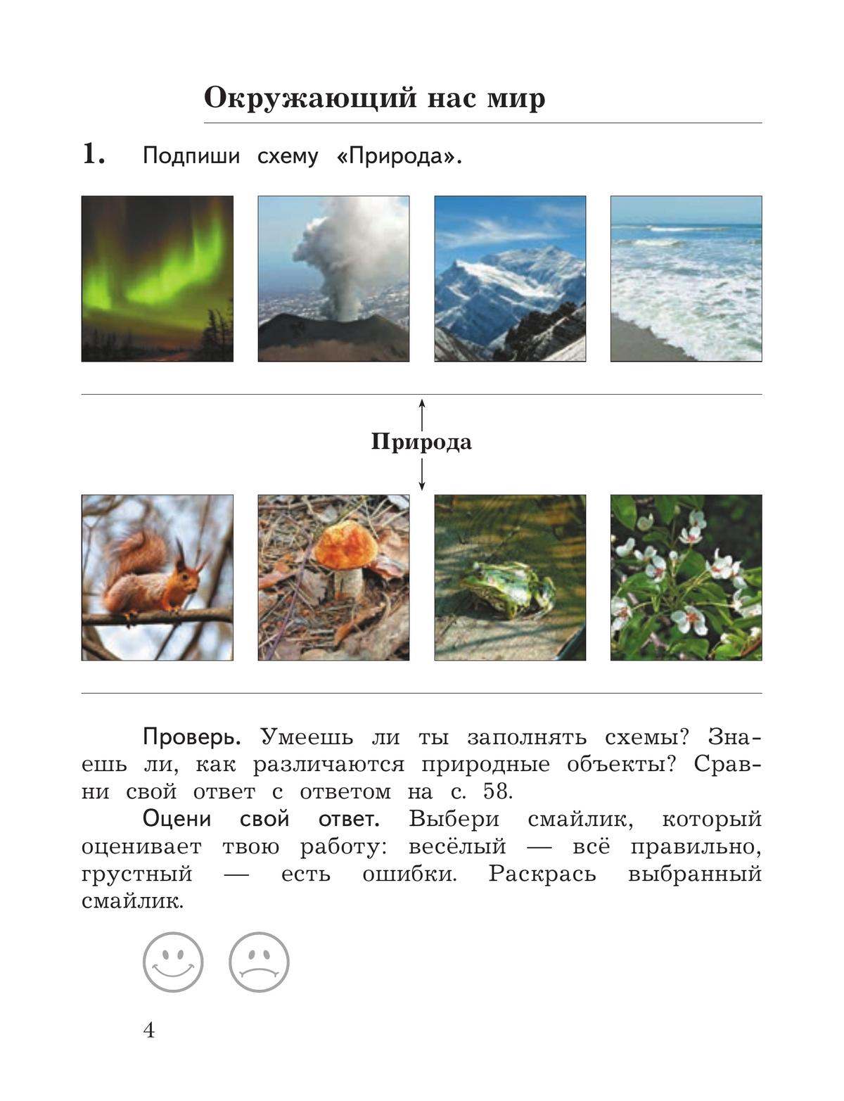 Окружающий мир. 2 класс. Тетрадь для проверочных работ. В 2 частях. Часть 1 8