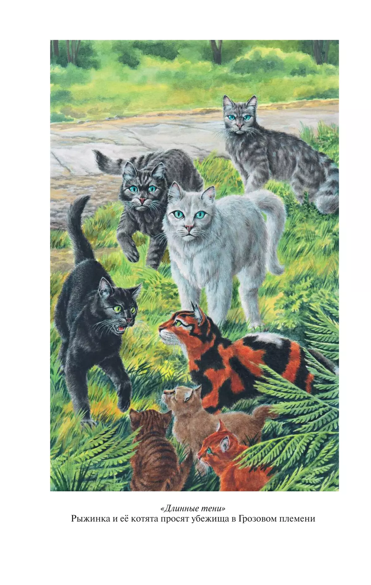 Рыжинка коты воители