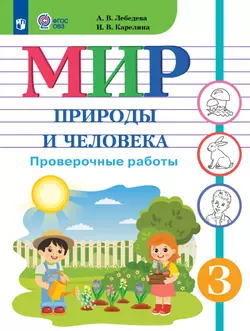 Мир природы и человека. 3 класс. Проверочные работы (для обучающихся с интеллектуальными нарушениями)