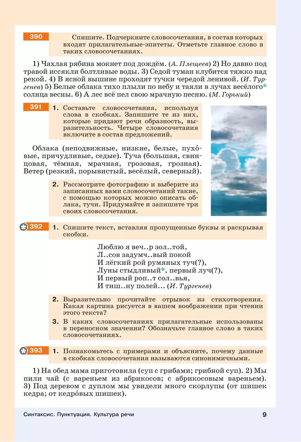 Чай из листьев падуба, 5 (пять) букв - Кроссворды и сканворды