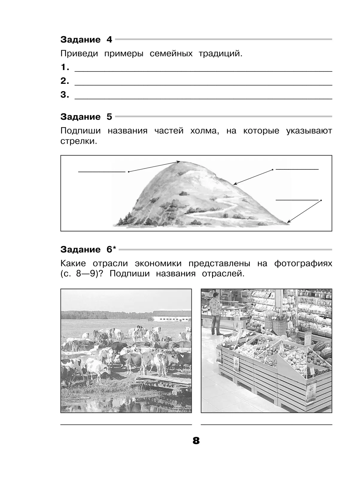 Окружающий мир. Проверочные работы. 3 класс 4